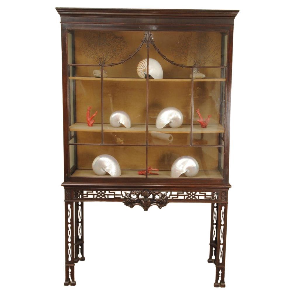 19th Century Chippendale Design Mahogany Display Cabinet  For Sale