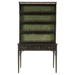 19th Century Chippendale Style Glass Display Case