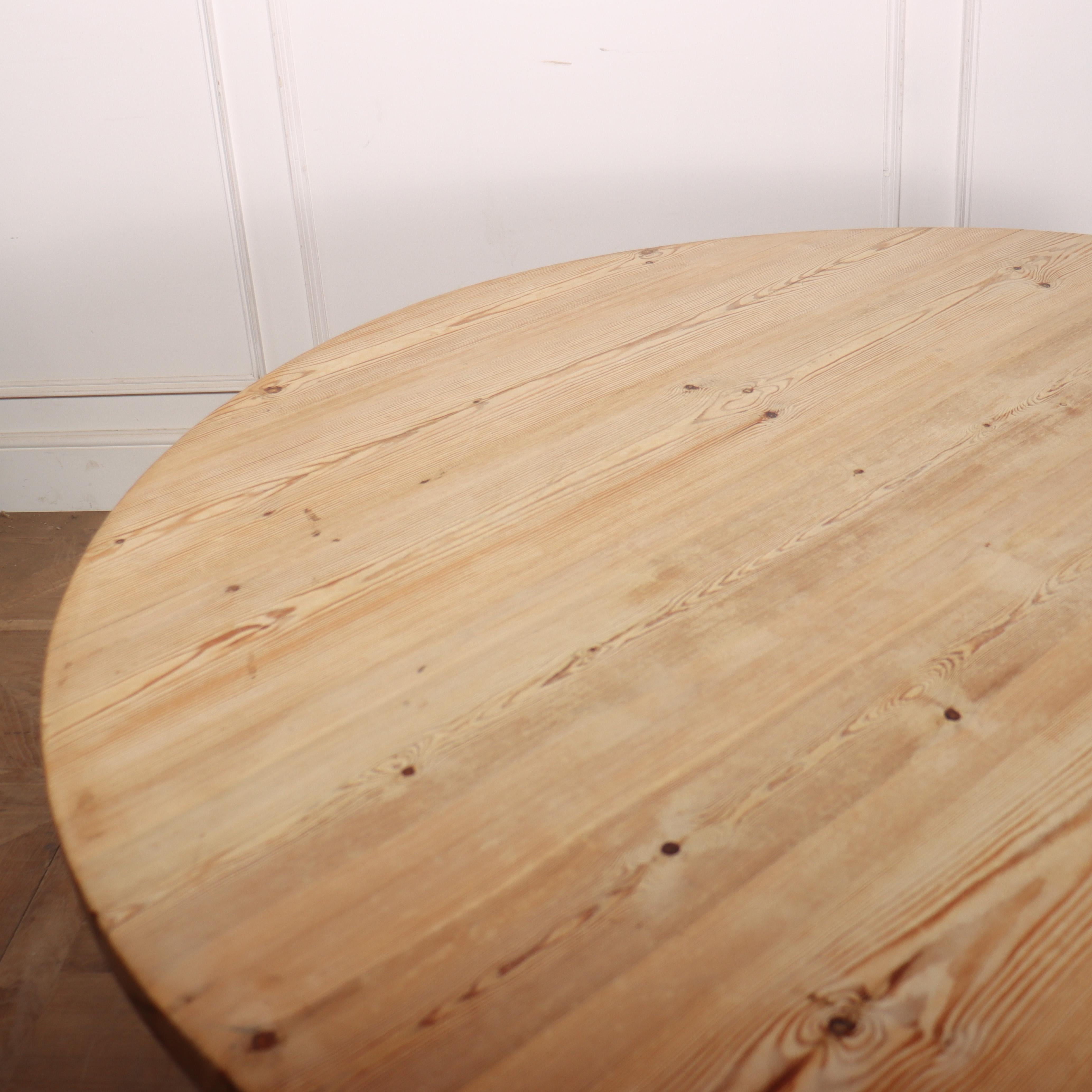 Mesa de comedor circular de pino del siglo XIX Pino en venta