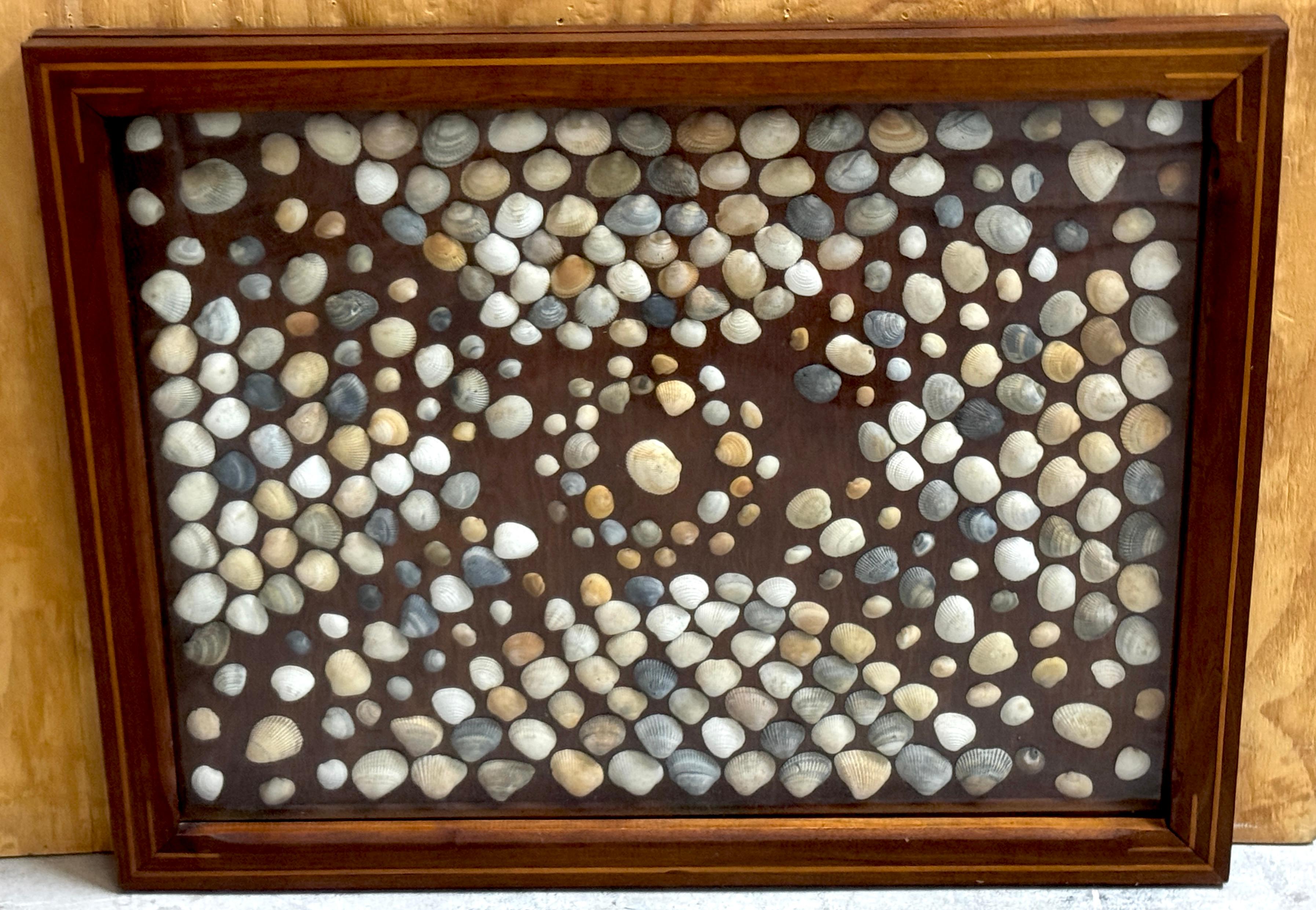 19th Century Civil War (Post) Inlaid Framed Shell Confederate Flag Collage For Sale 5