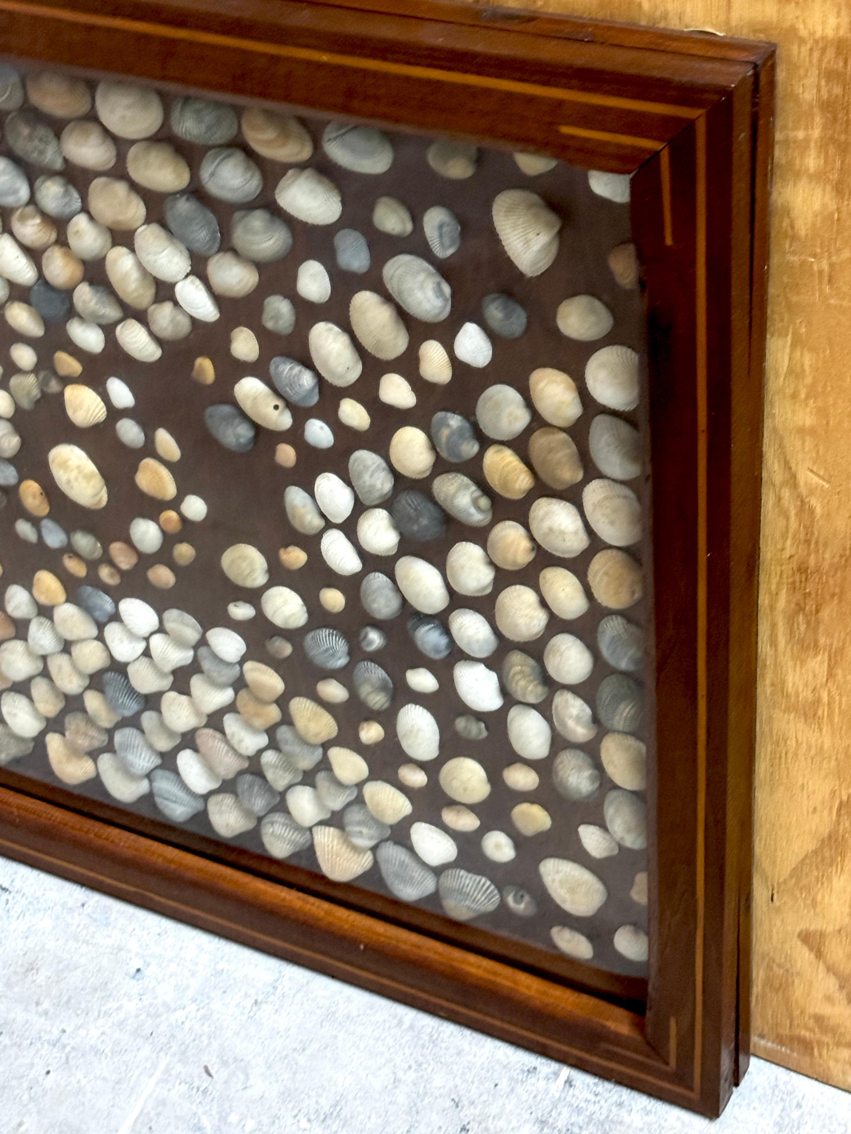 19th Century Civil War (Post) Inlaid Framed Shell Confederate Flag Collage For Sale 8