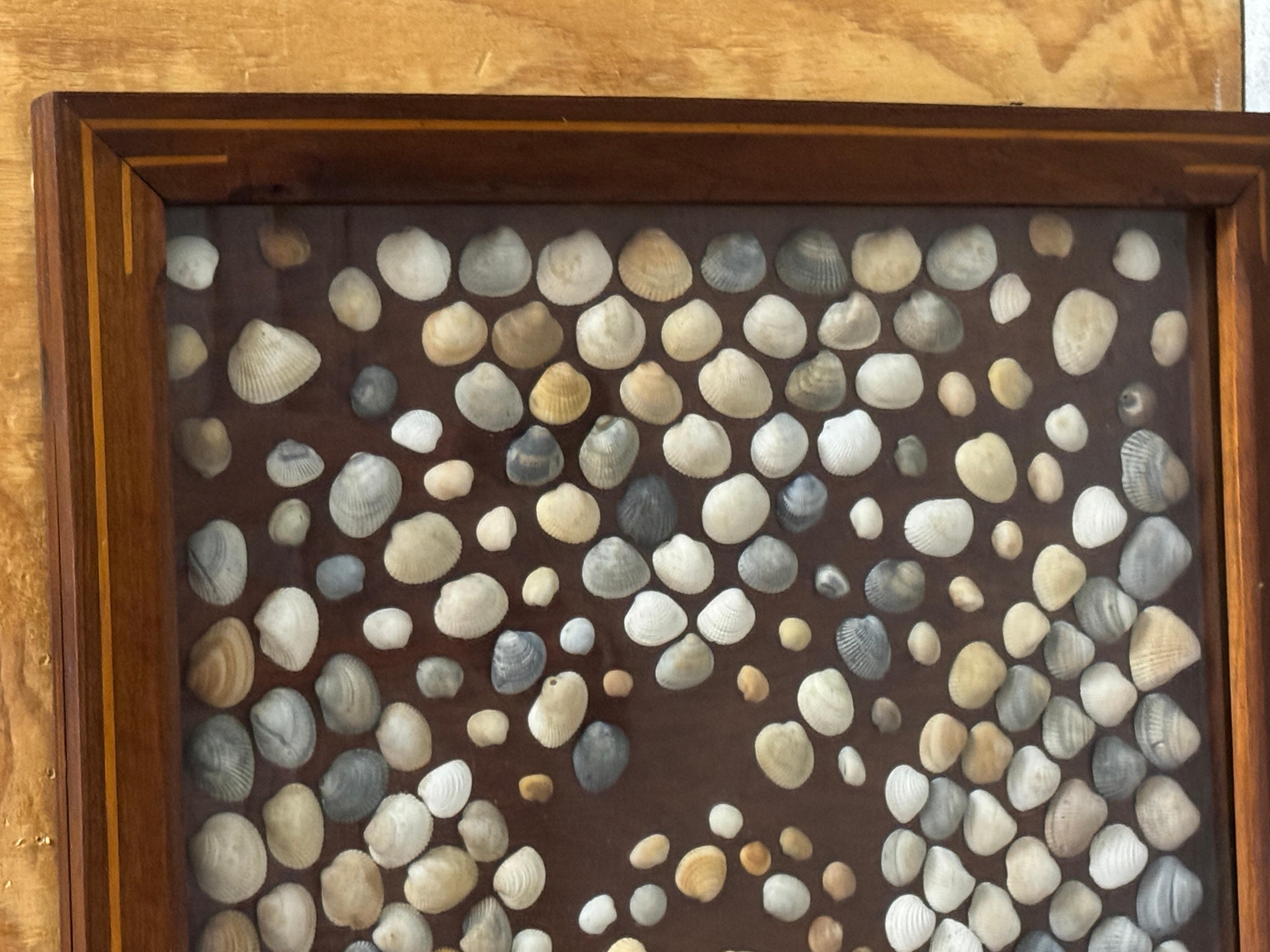 19th Century Civil War (Post) Inlaid Framed Shell Confederate Flag Collage For Sale 2