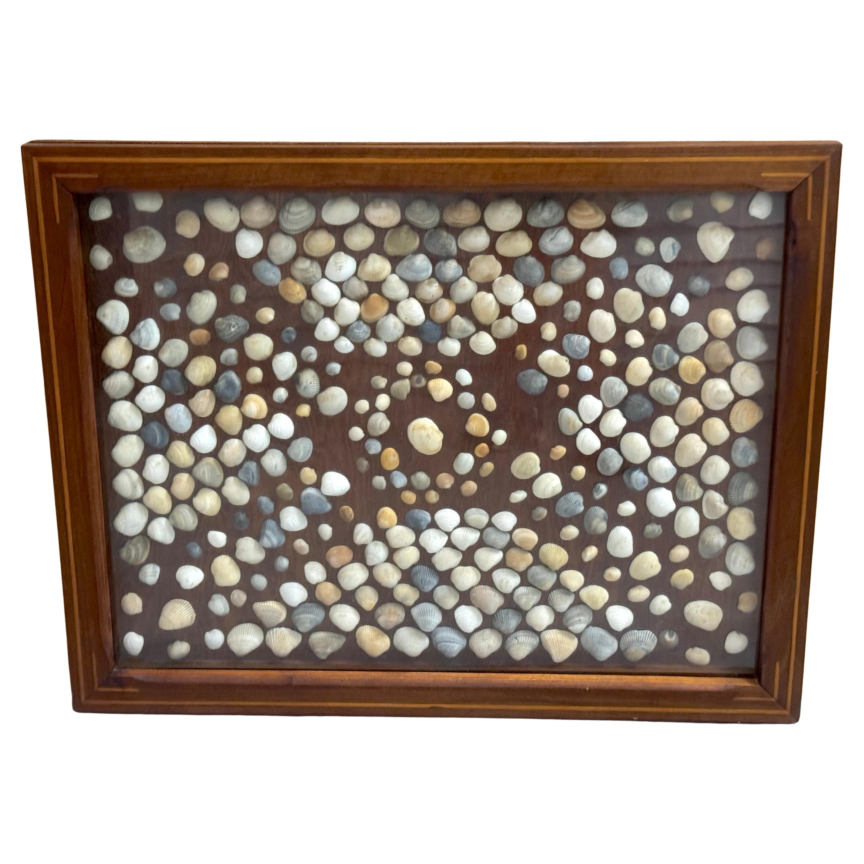 19th Century Civil War (Post) Inlaid Framed Shell Confederate Flag Collage For Sale