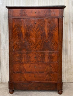 19th Century Classical Charles X Burled Mahogany Secretaire a Abattant