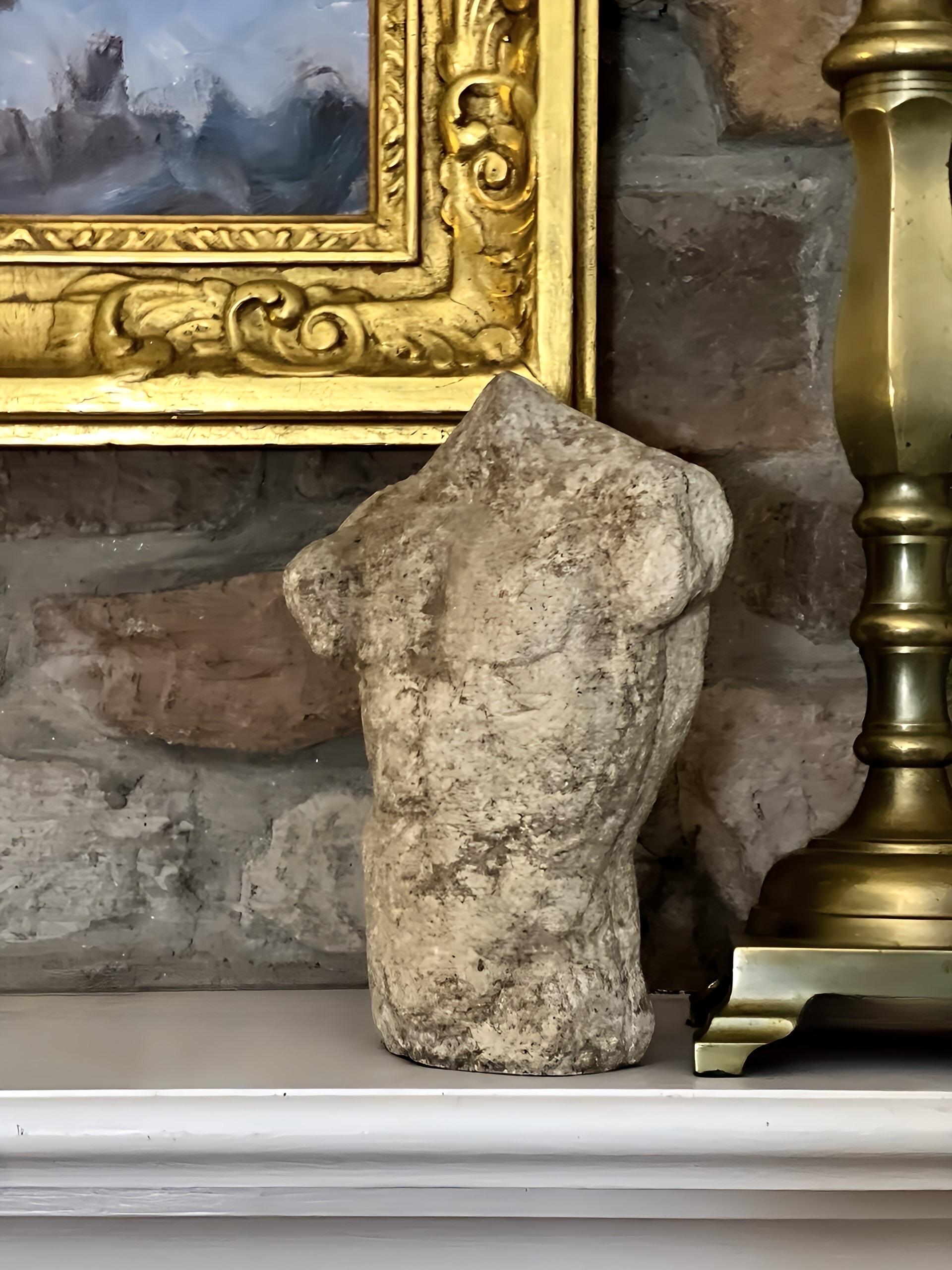 Buste torse nu masculin en béton classique du 19e siècle en vente 7