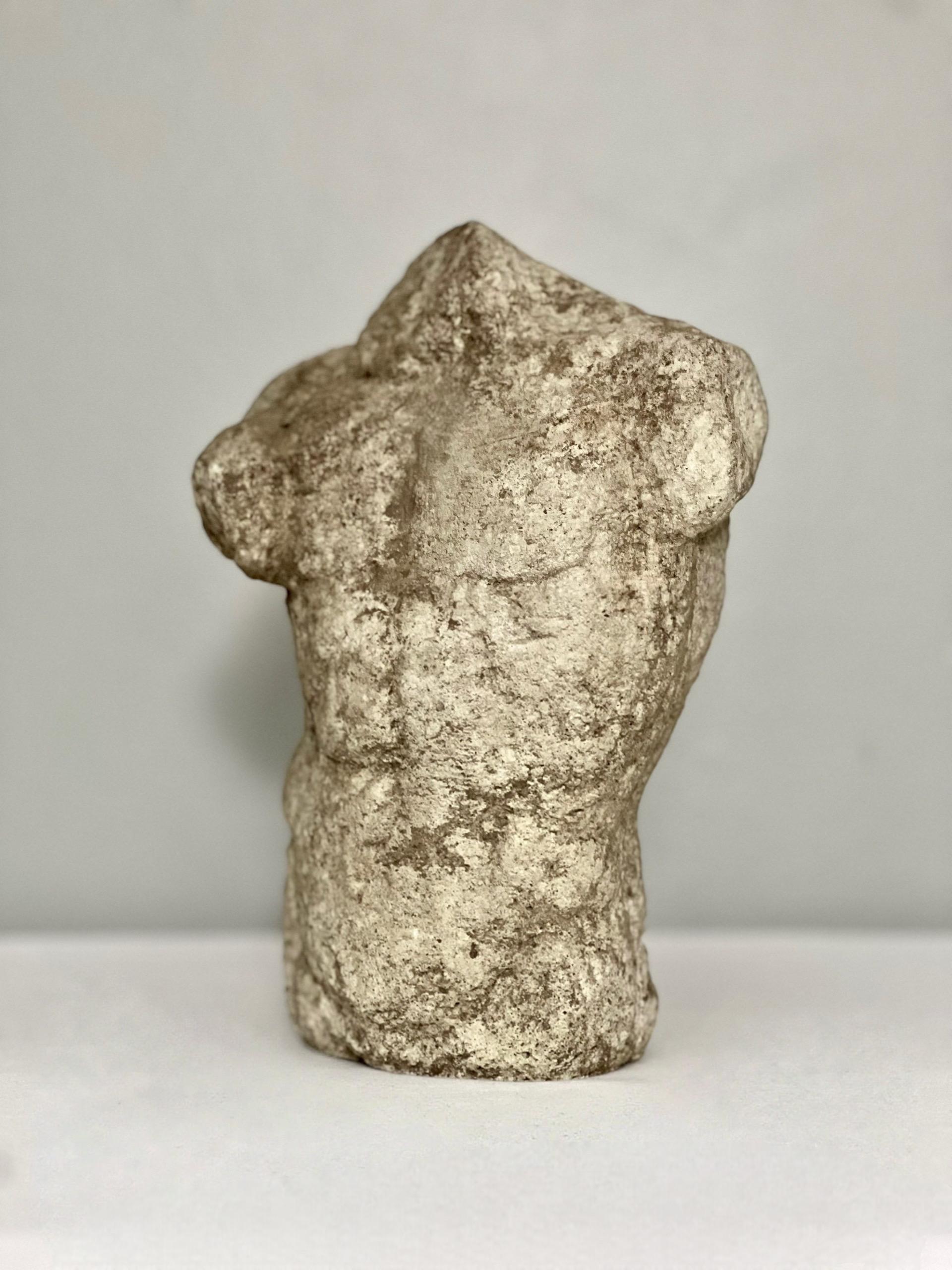 Buste torse nu masculin classique en béton moulé, vers 1880-1900.  Inspiré par des œuvres grecques de la période hellénistique telles que le torse de Belvedere, il présente une belle forme musculaire avec une patine vieillie désirable et