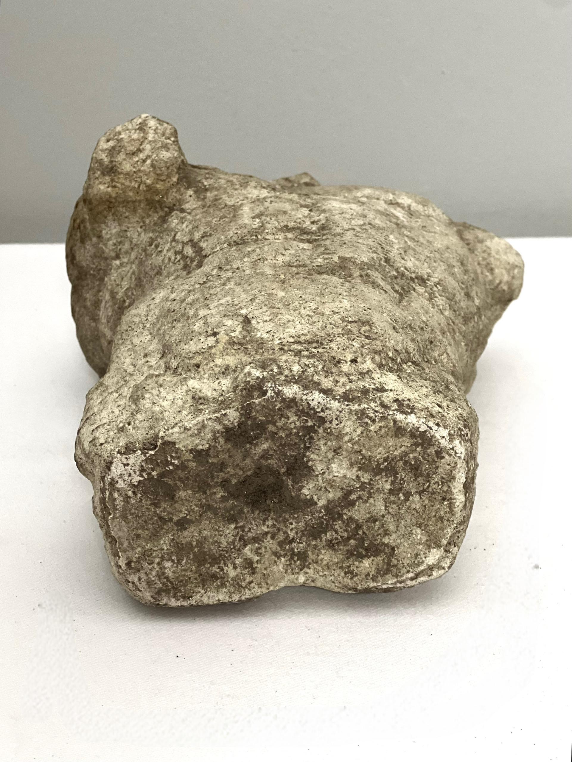 Béton Buste torse nu masculin en béton classique du 19e siècle en vente
