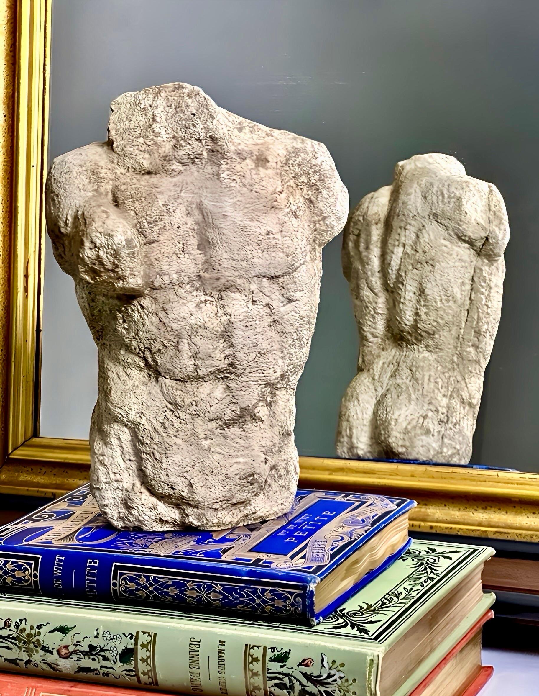 Buste torse nu masculin en béton classique du 19e siècle en vente 1