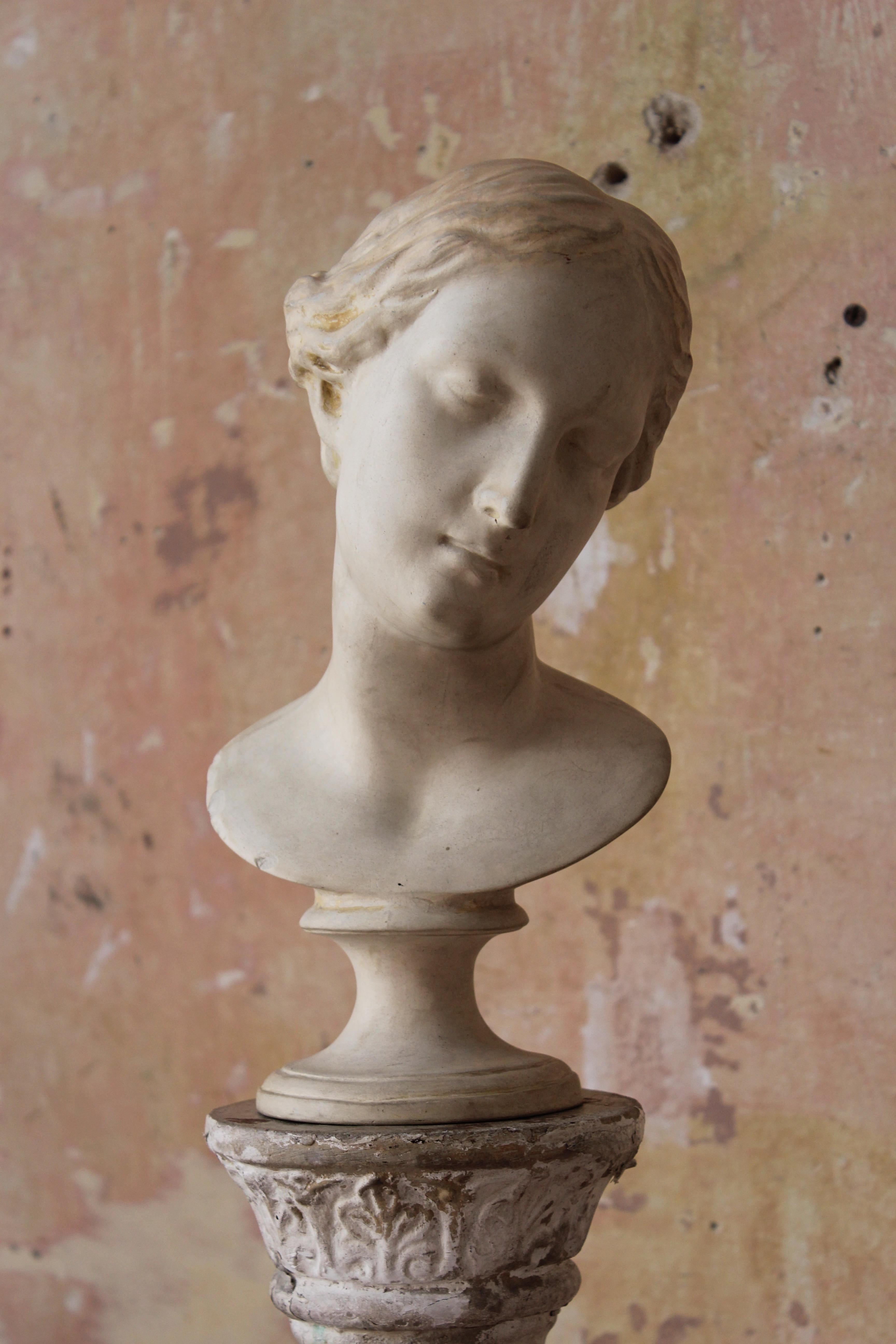 19th Century Classical Library Bust of Female Grand Tour Country House  For Sale 4