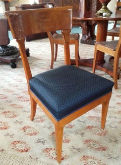 19th Century Classicism Cherrywood Chair Horsehair Covered Restored Polished