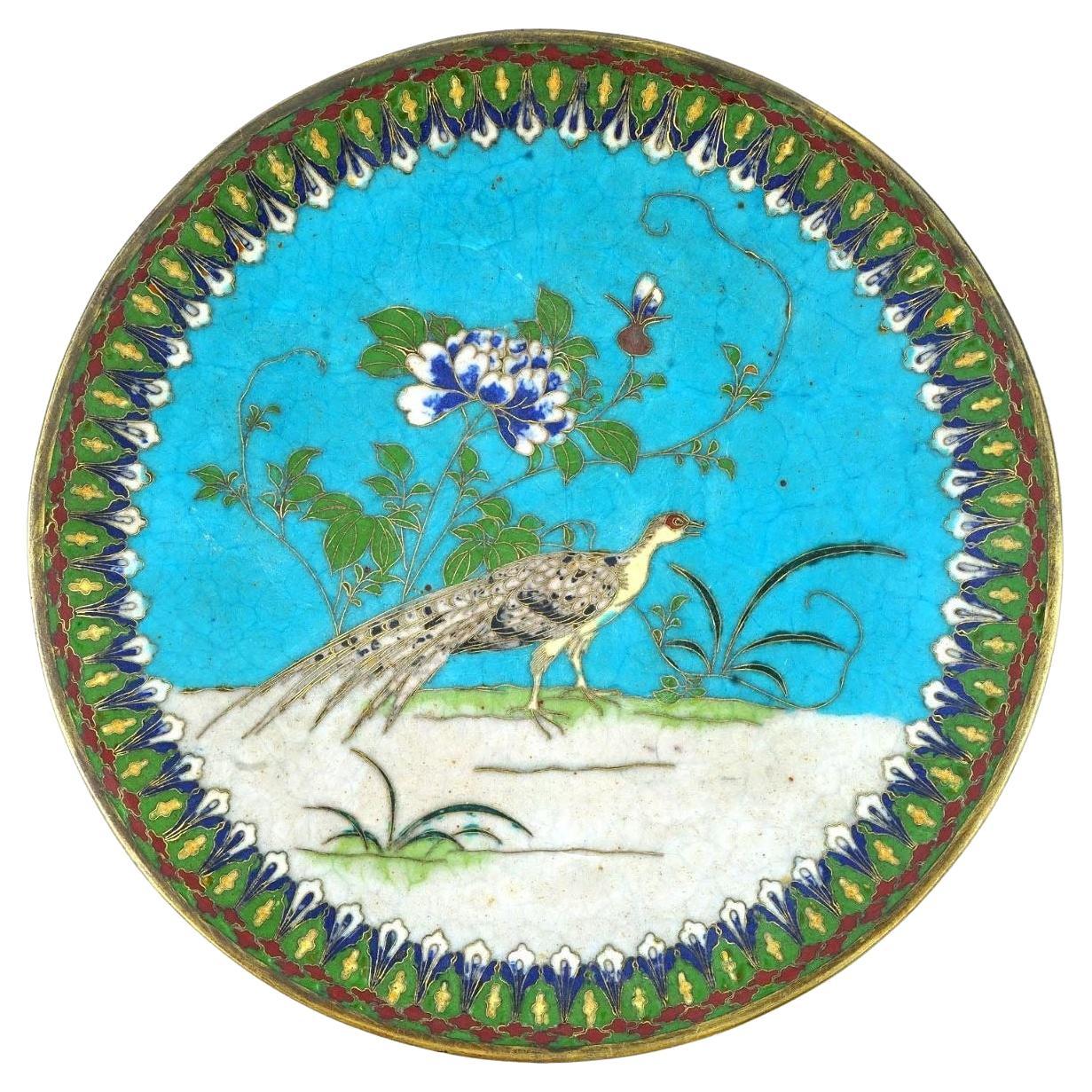 19th Century Cloisonne Enamel Plate Depicting Peacock For Sale