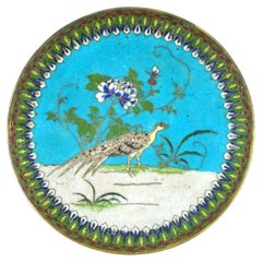 Antique 19th Century Cloisonne Enamel Plate Depicting Peacock