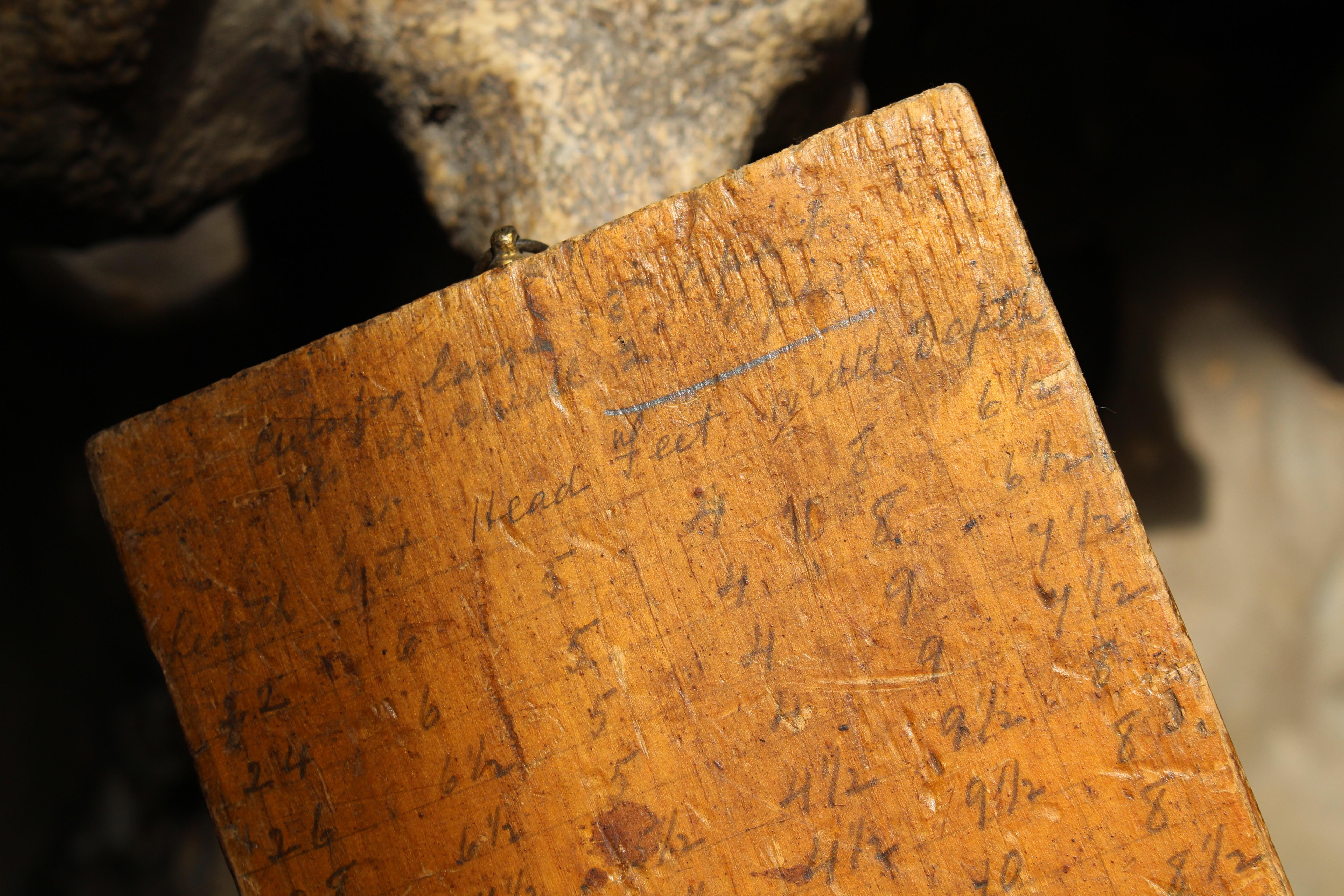 Bara del 19° secolo - Tavola di dimensionamento dei becchini Curio Macabro in vendita 4