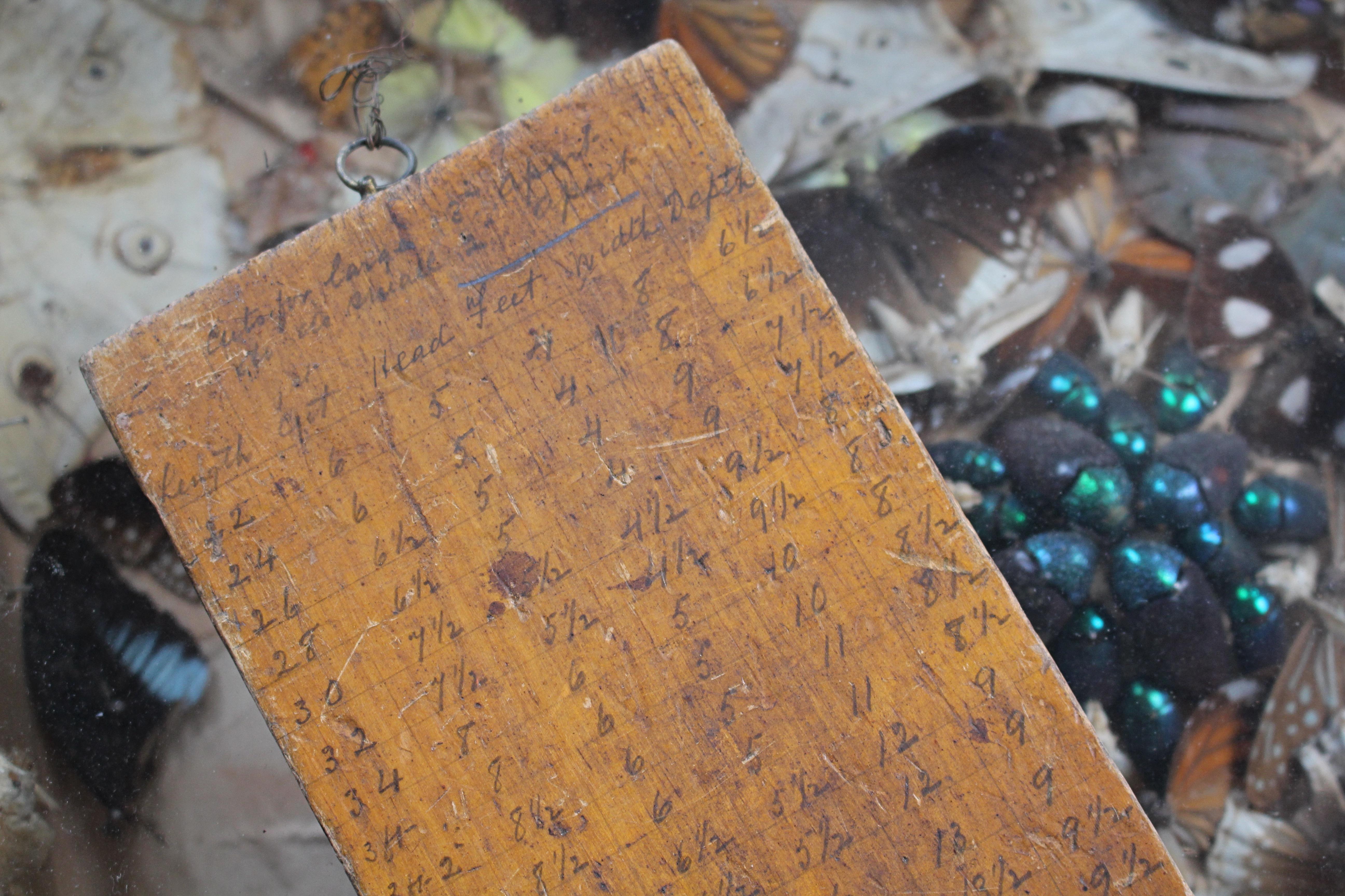 Bara del 19° secolo - Tavola di dimensionamento dei becchini Curio Macabro In condizioni buone in vendita a Lowestoft, GB