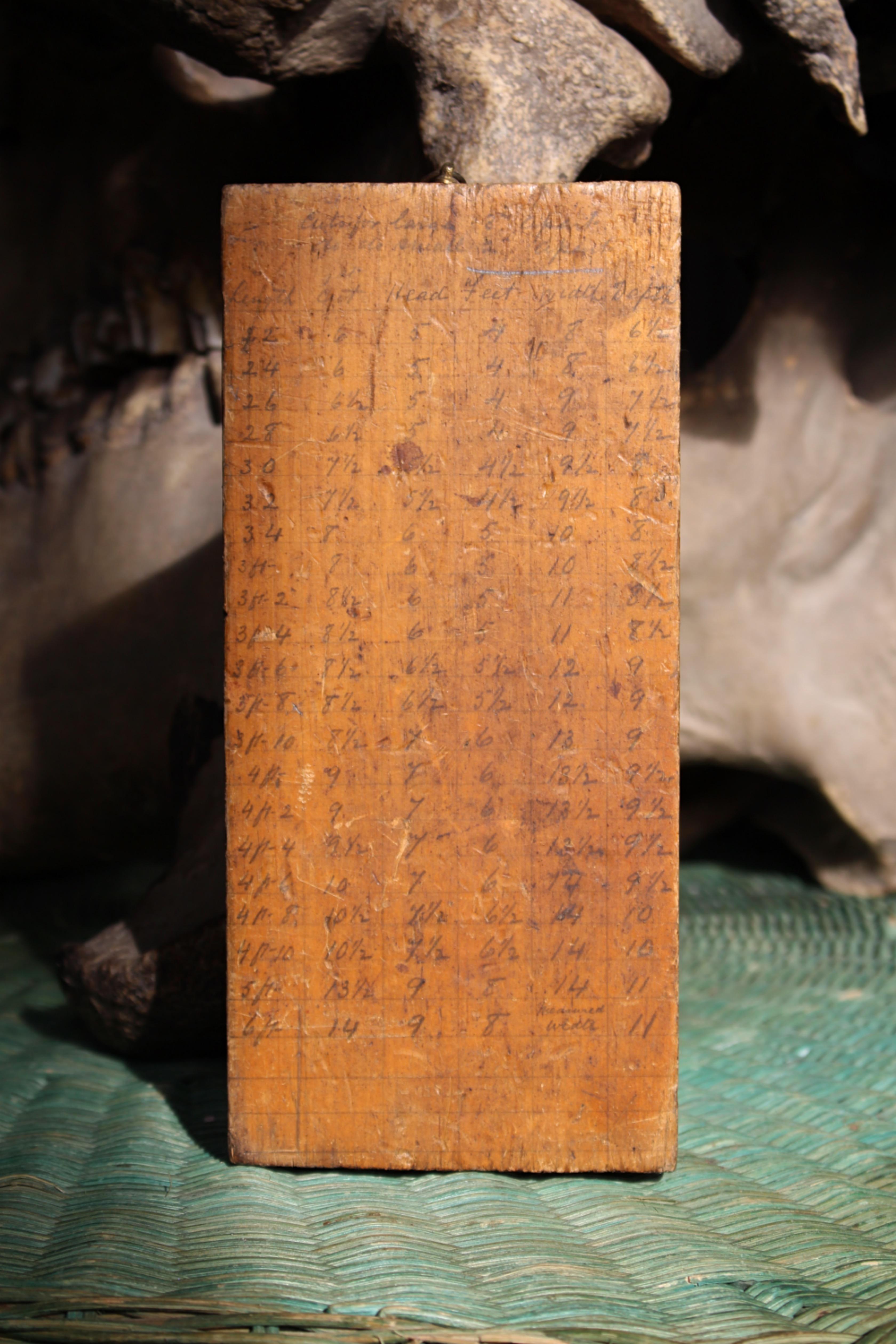 Bara del 19° secolo - Tavola di dimensionamento dei becchini Curio Macabro in vendita 1