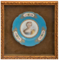 19th Century Collection of Seven Framed Sèvres Porcelain Plates