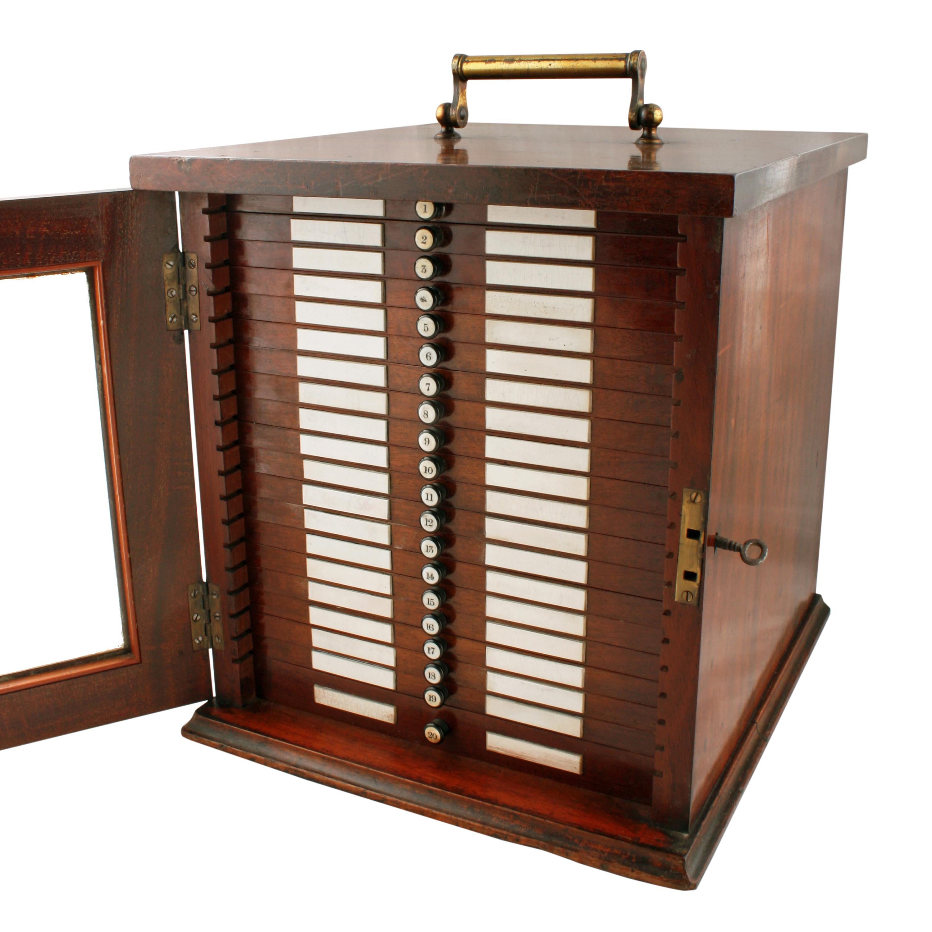 Late Victorian 19th Century Collector's Cabinet For Sale