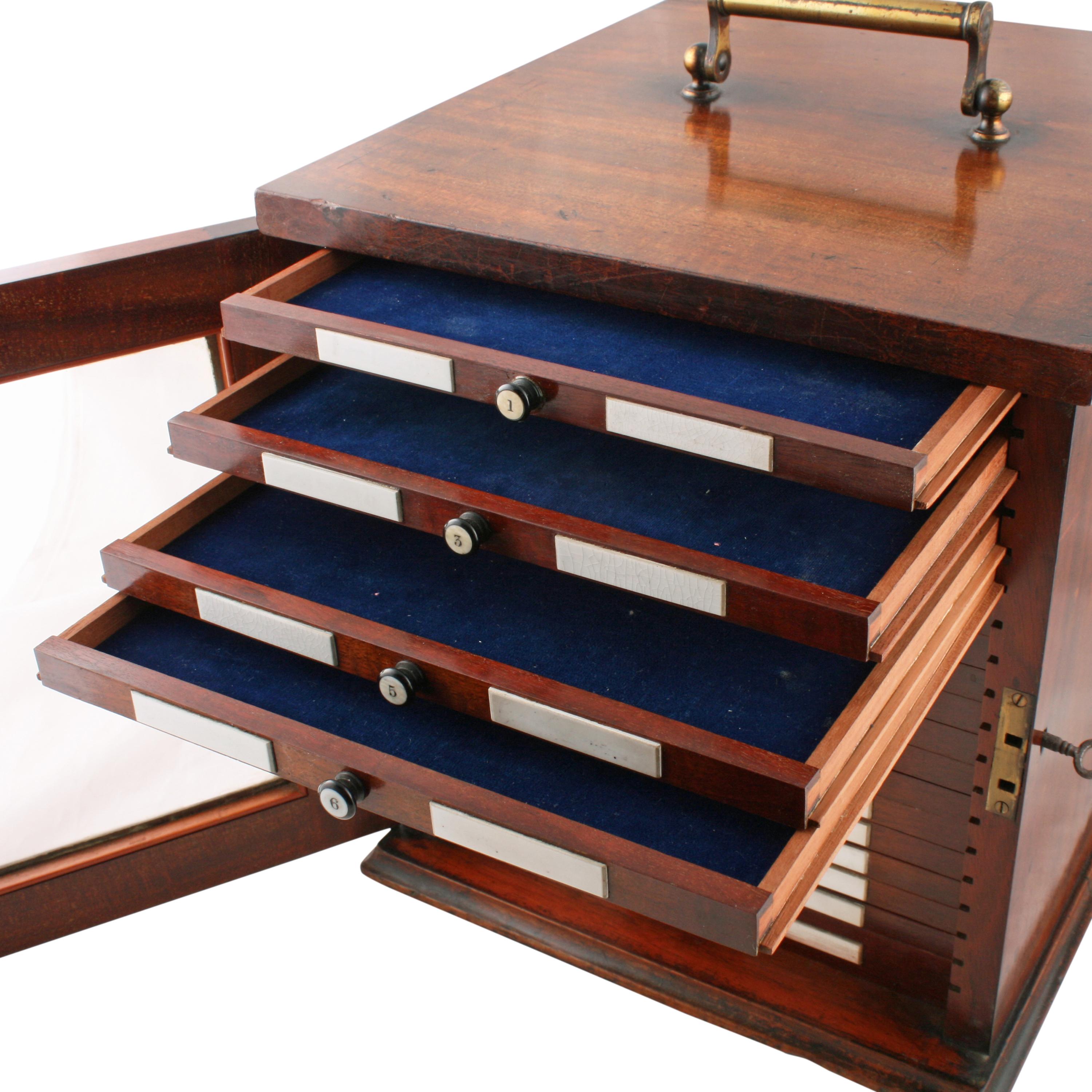 British 19th Century Collector's Cabinet For Sale