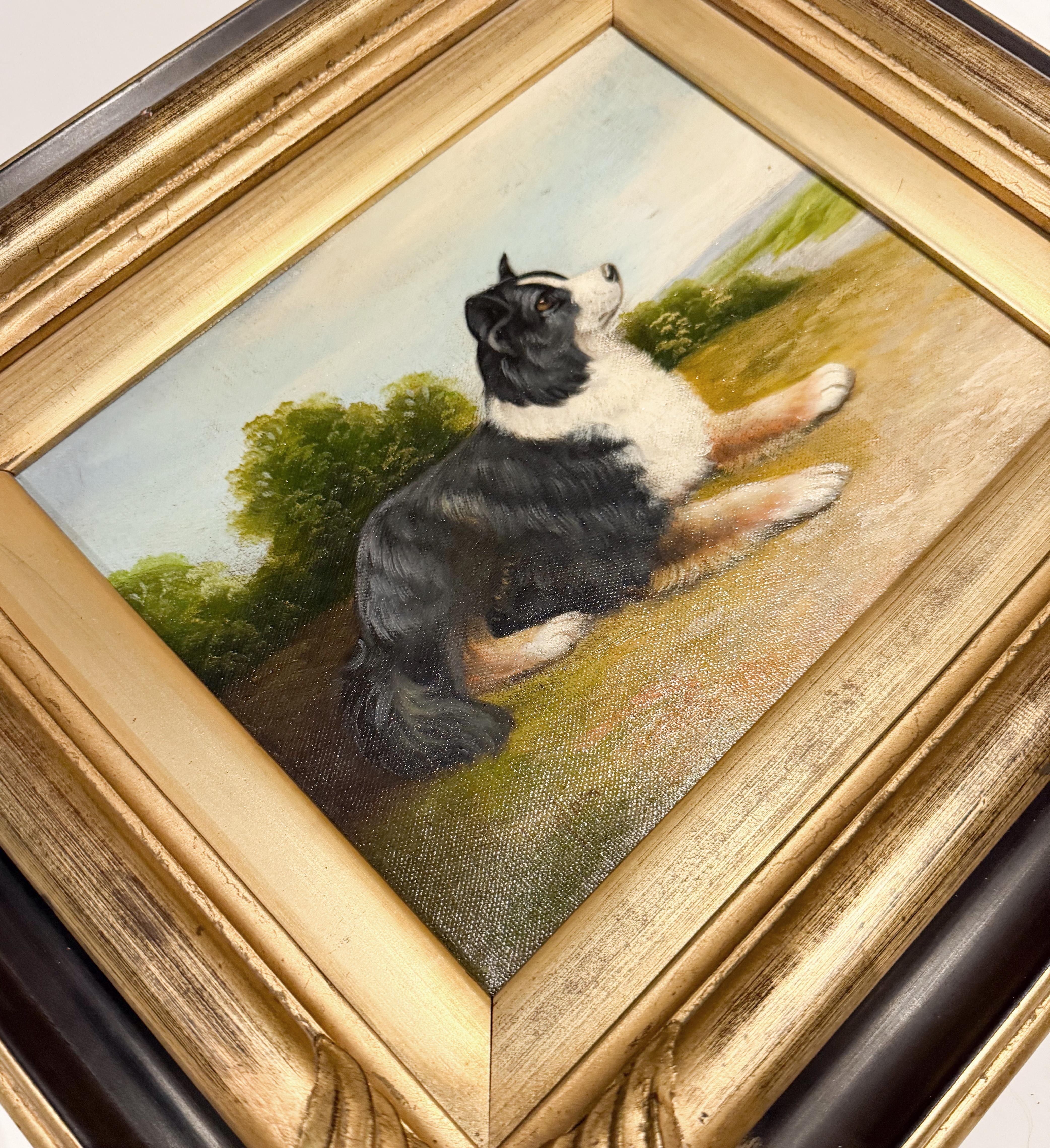 19. Jahrhundert Collie Hund Porträt Öl auf Leinwand Gemälde signiert A. Taylor (Amerikanische Klassik) im Angebot