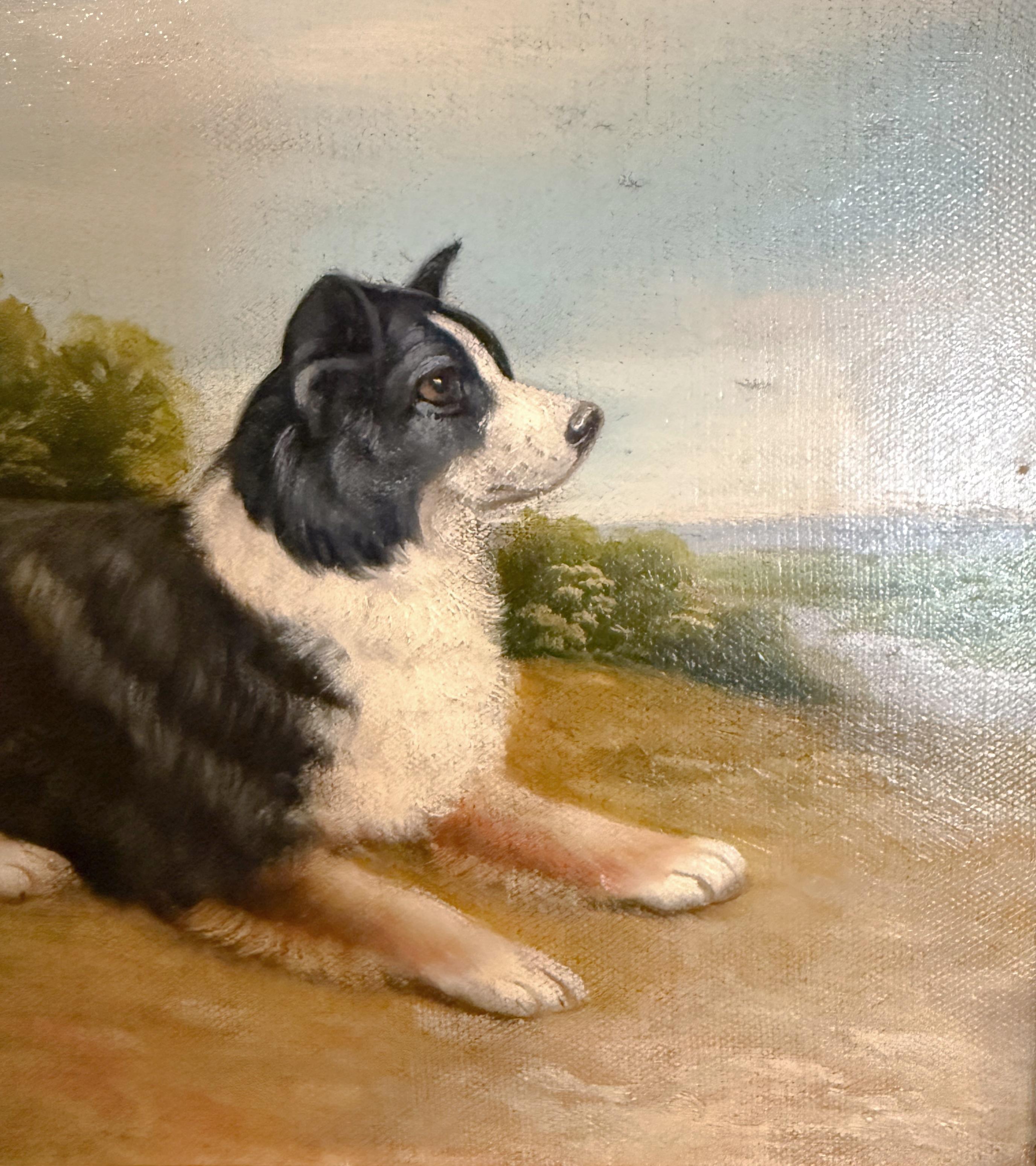 19. Jahrhundert Collie Hund Porträt Öl auf Leinwand Gemälde signiert A. Taylor (amerikanisch) im Angebot