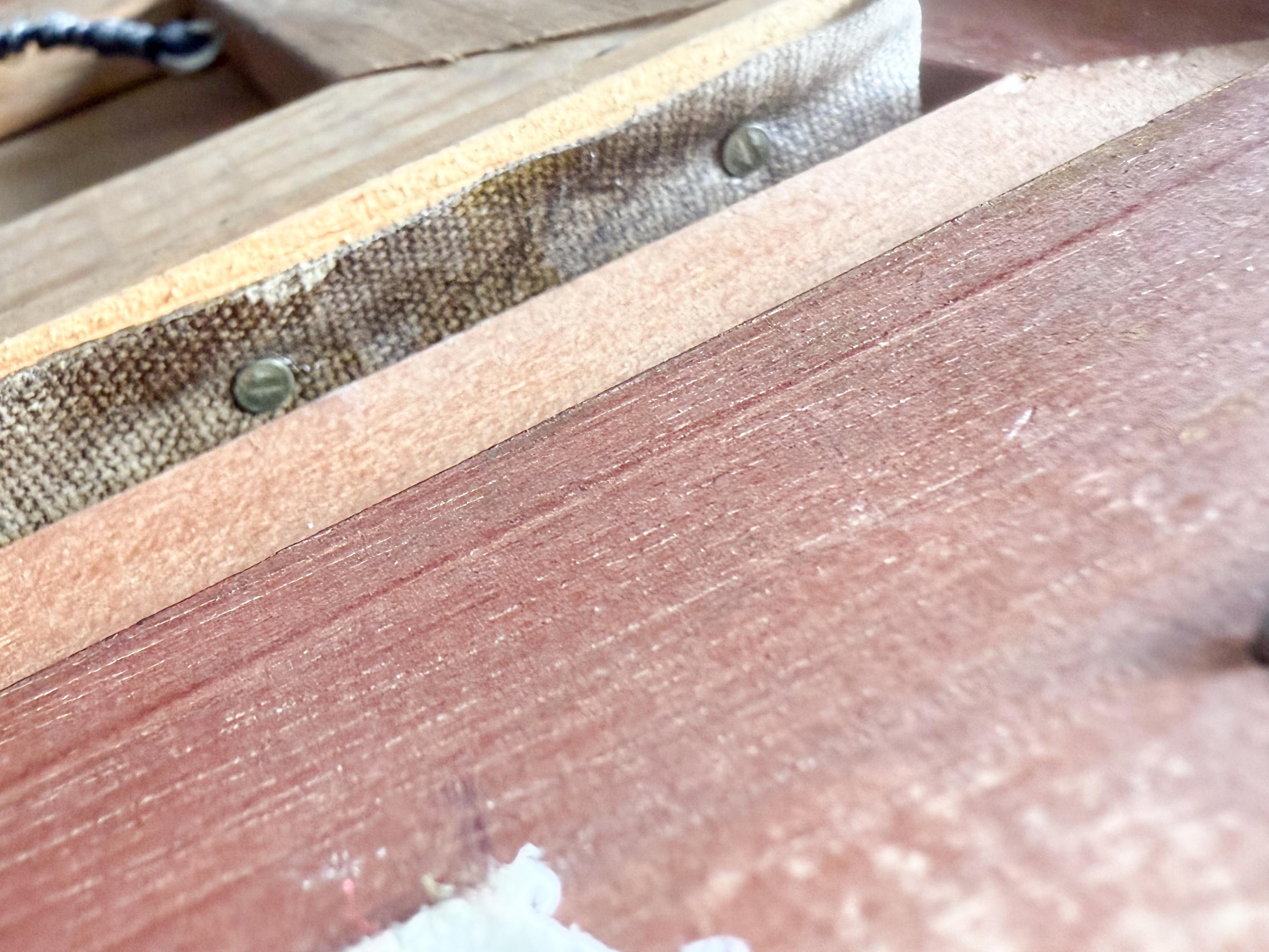 19. Jahrhundert Collie Hund Porträt Öl auf Leinwand Gemälde signiert A. Taylor im Angebot 2