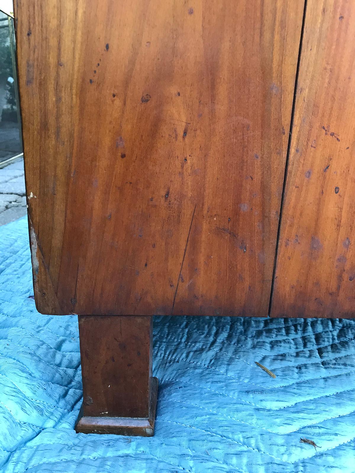 19th Century Continental Burled Wood Chest with Ebonized Escutcheons 6