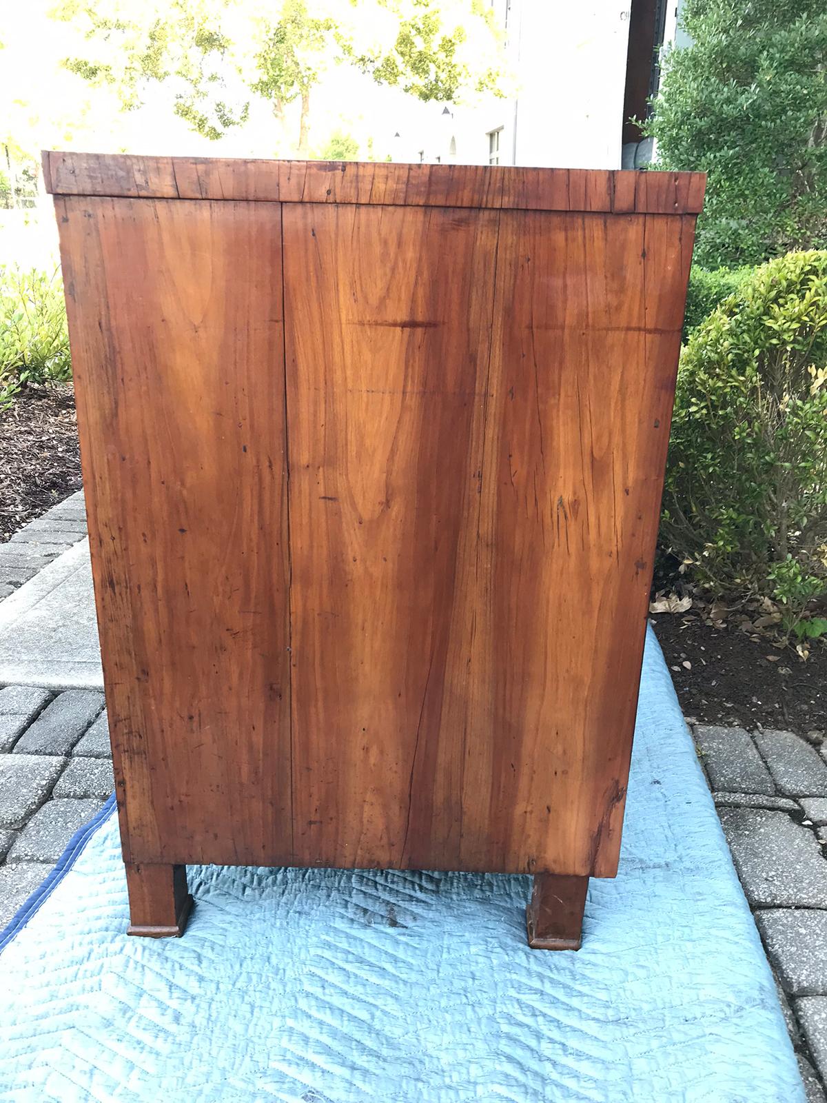 19th Century Continental Burled Wood Chest with Ebonized Escutcheons 7