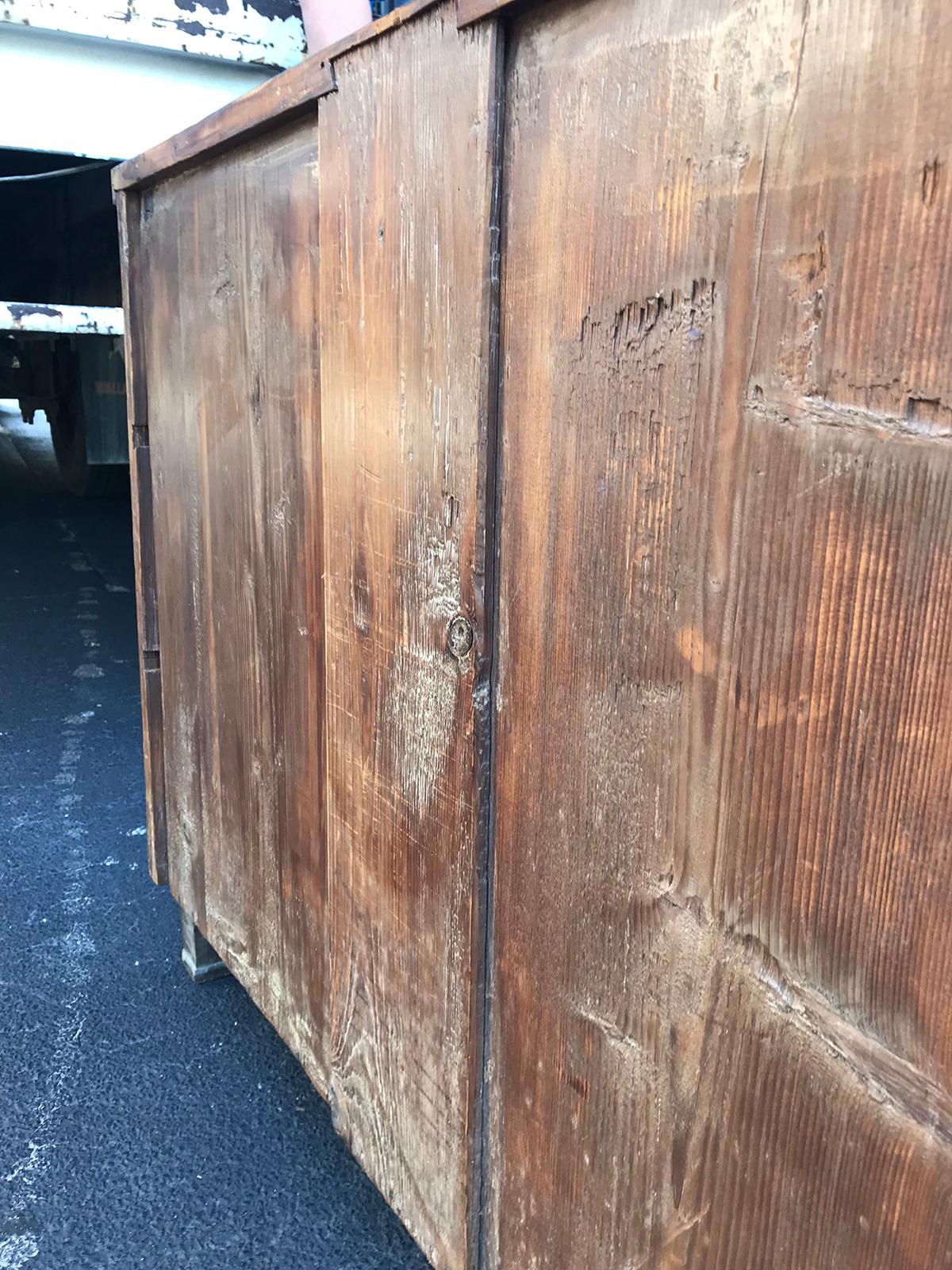 19th Century Continental Burled Wood Chest with Ebonized Escutcheons 11