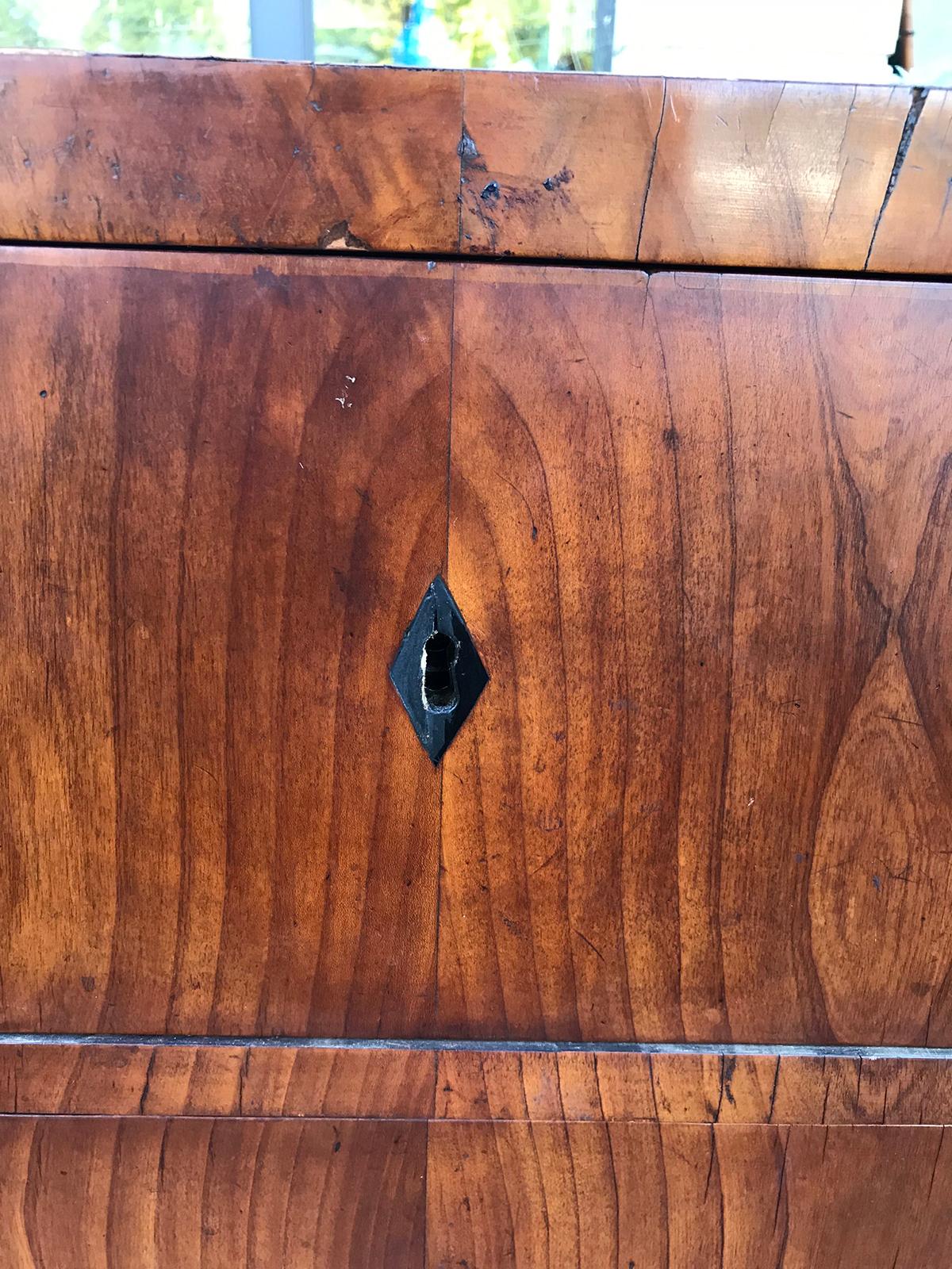 19th Century Continental Burled Wood Chest with Ebonized Escutcheons 1