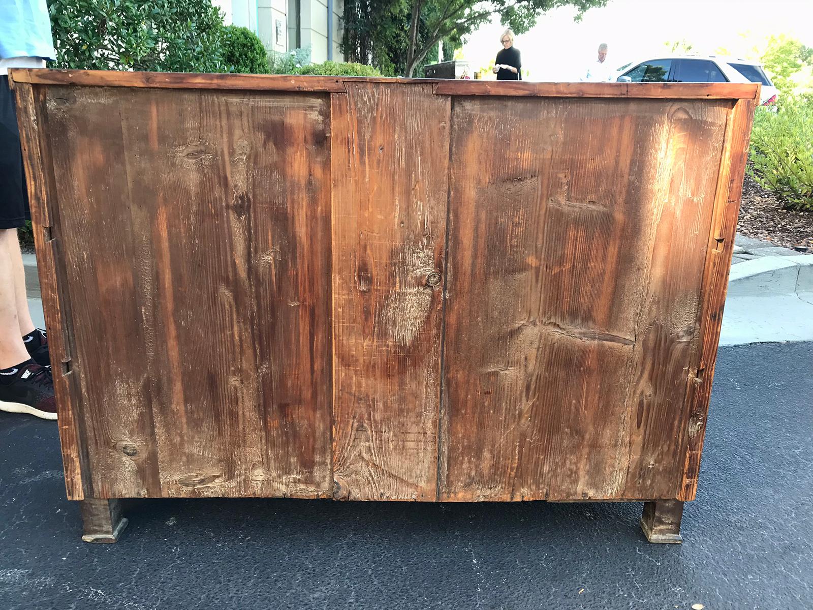 19th Century Continental Burled Wood Chest with Ebonized Escutcheons 4