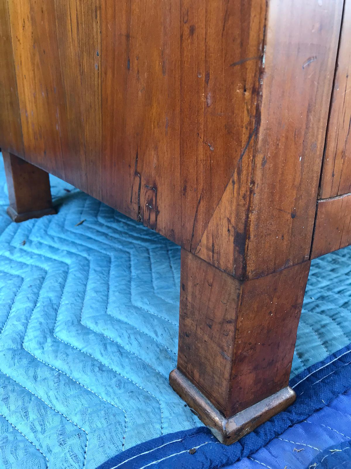19th Century Continental Burled Wood Chest with Ebonized Escutcheons 5