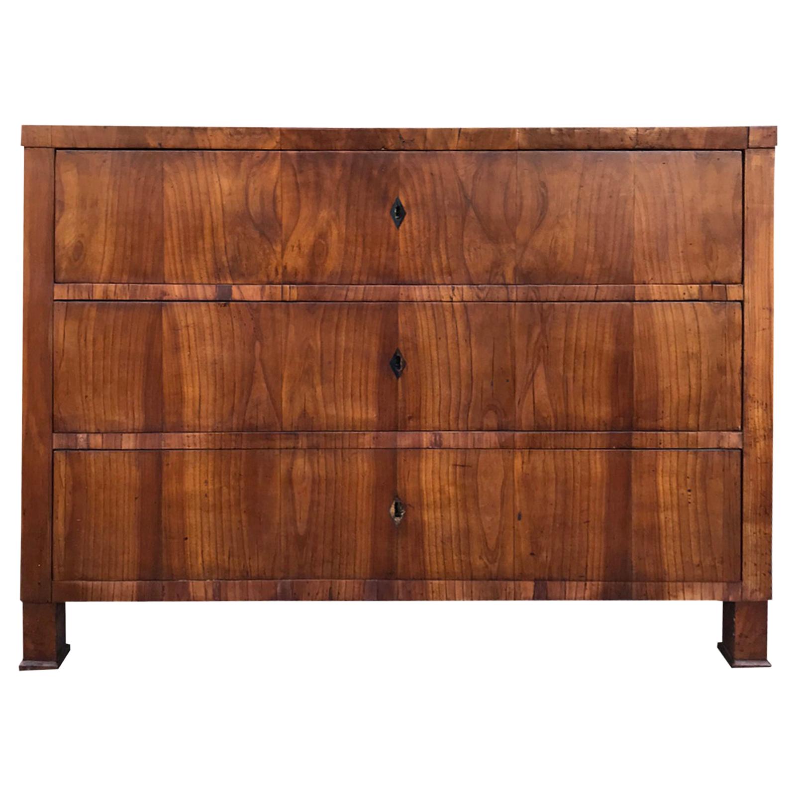 19th Century Continental Burled Wood Chest with Ebonized Escutcheons