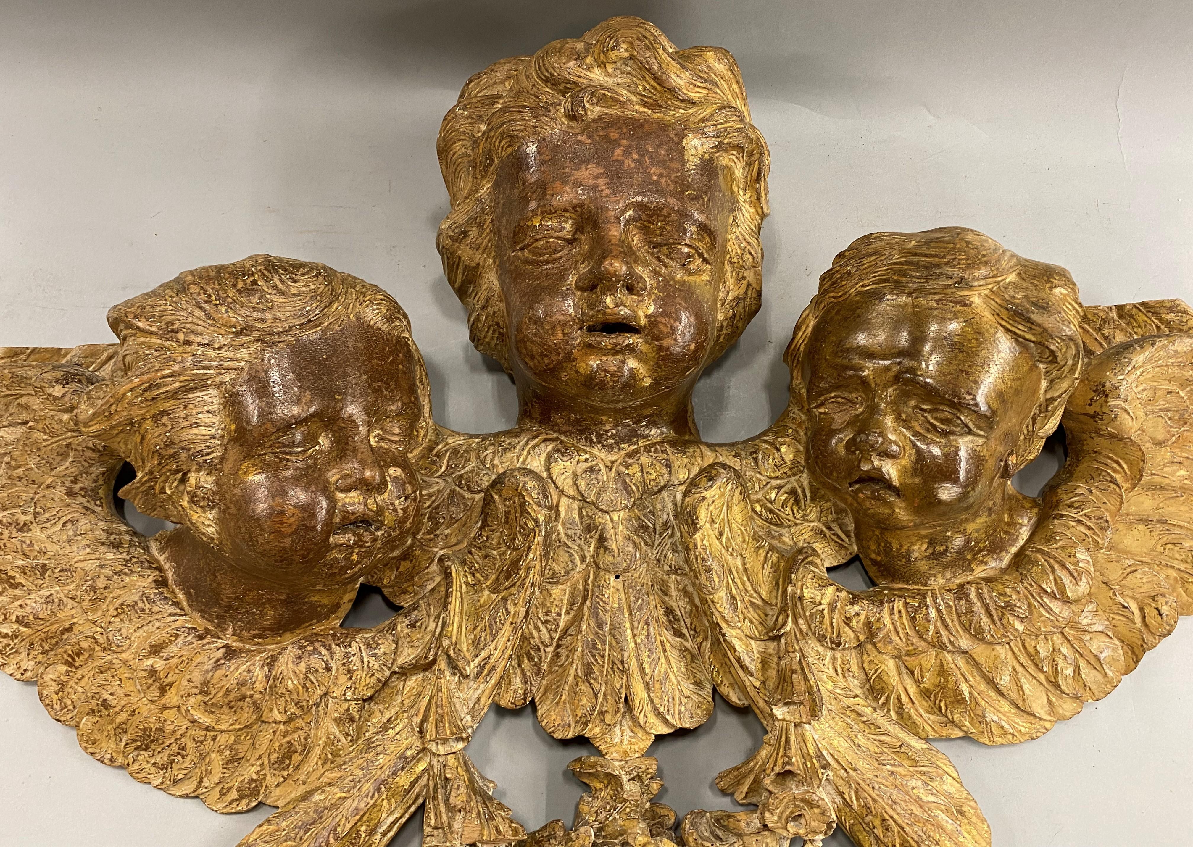Kontinentale Gruppe von drei geschnitzten Cherubs aus vergoldetem Holz aus dem 19. Jahrhundert (Europäisch) im Angebot