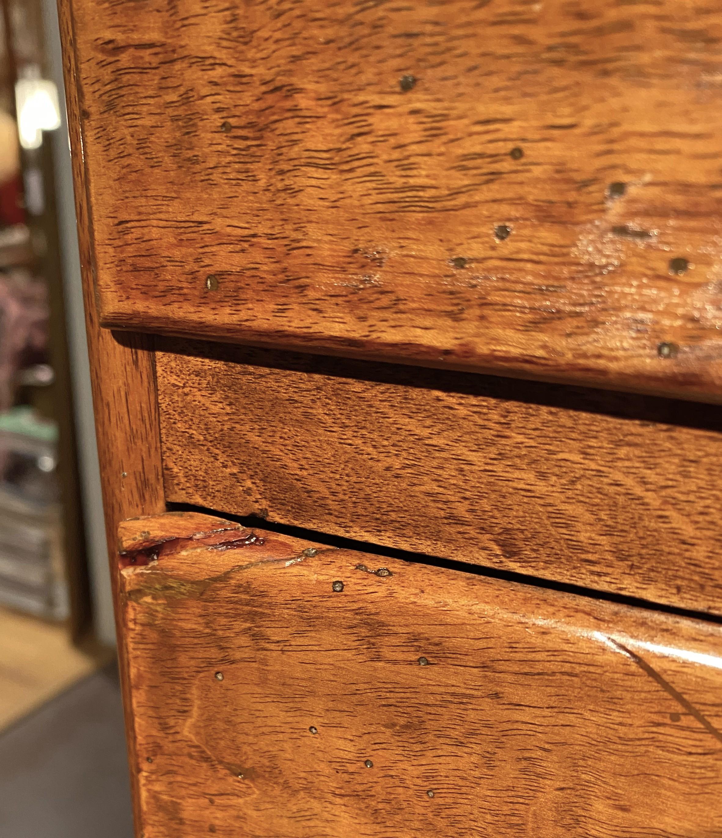 19th Century Continental Walnut Semainier with Dog Motif Drawer Pulls For Sale 9