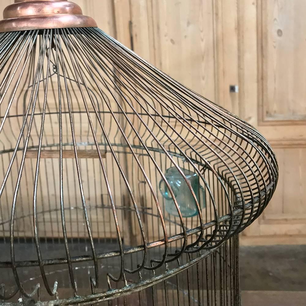 copper bird cage
