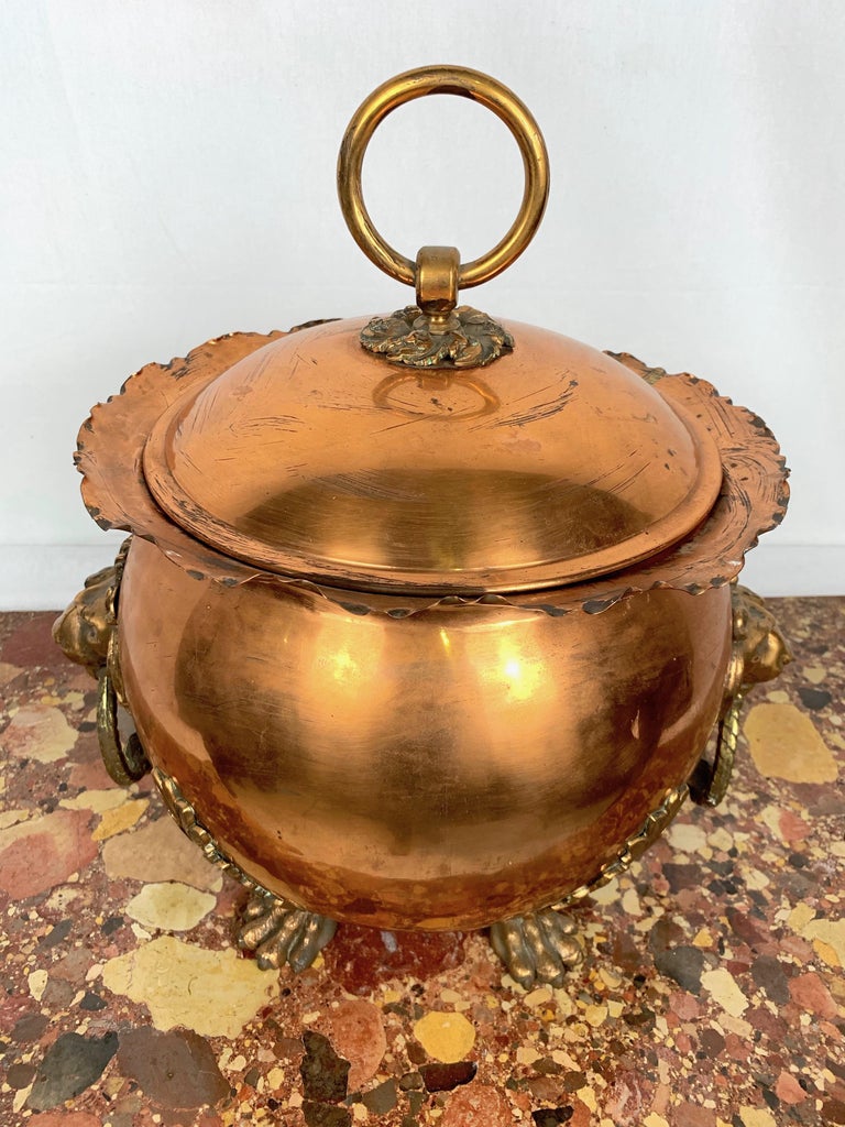 19th Century Copper and Brass Coal Bucket For Sale at 1stDibs