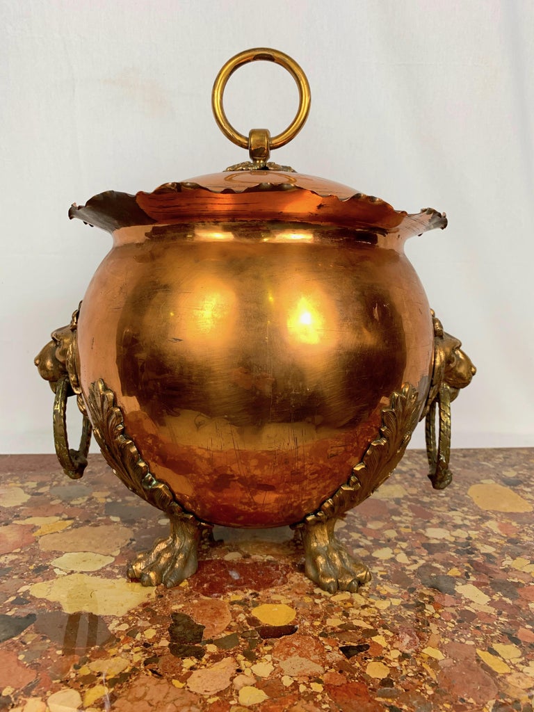 19th Century Copper and Brass Coal Bucket For Sale at 1stDibs