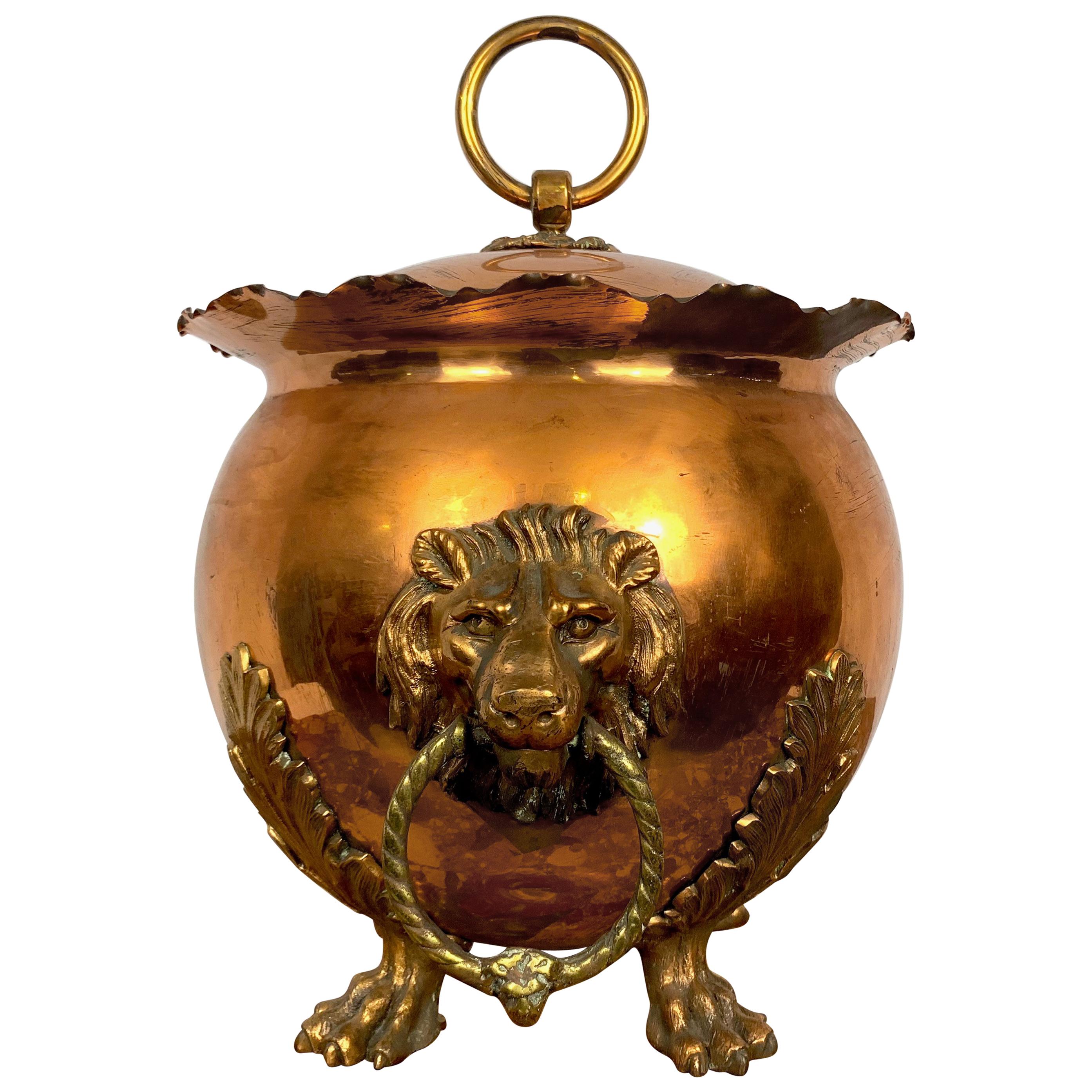 19th Century Copper and Brass Coal Bucket For Sale