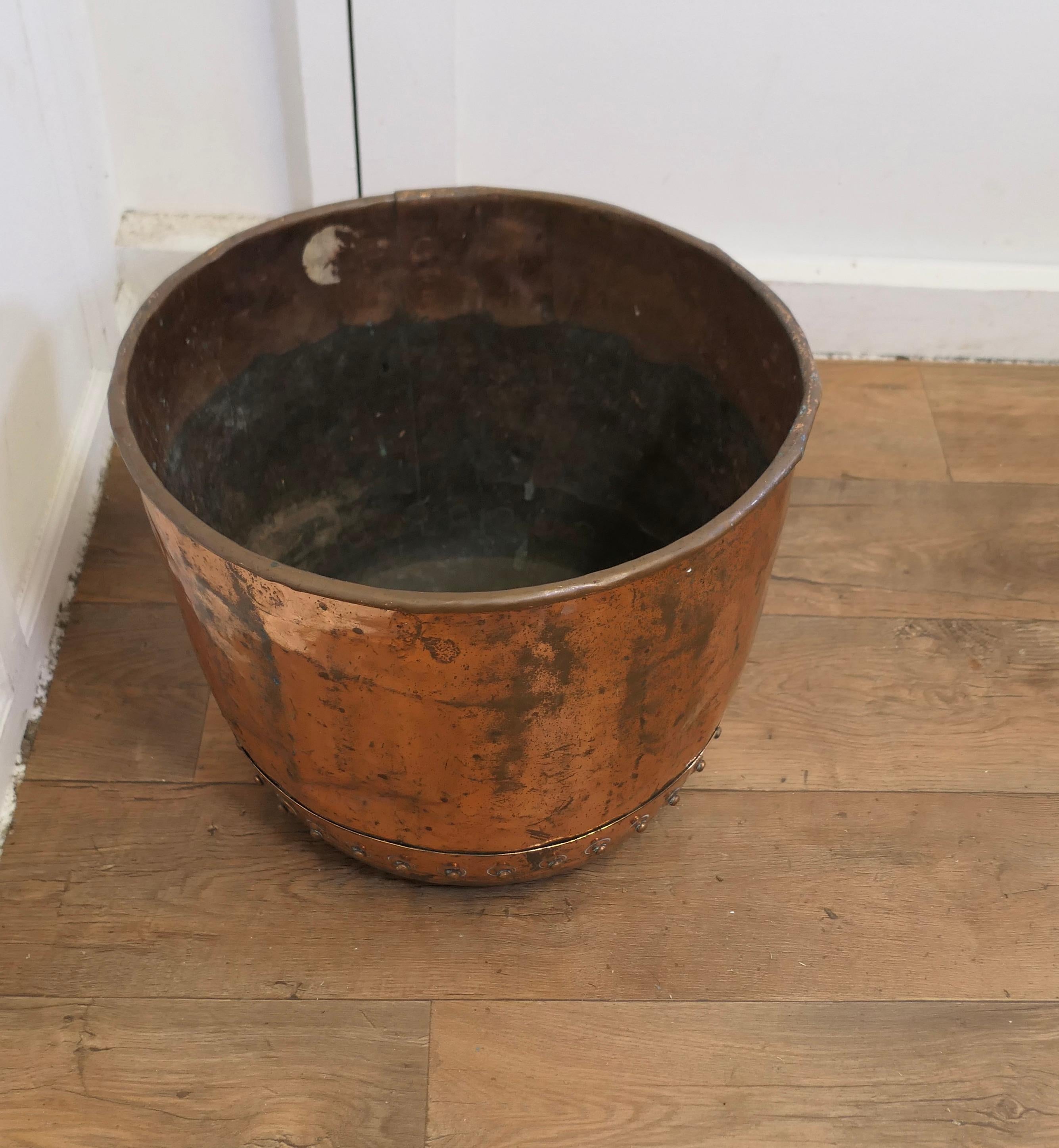 Kupfer Log Bin oder Cauldron-Pflanzgefäß aus dem 19. Jahrhundert 1