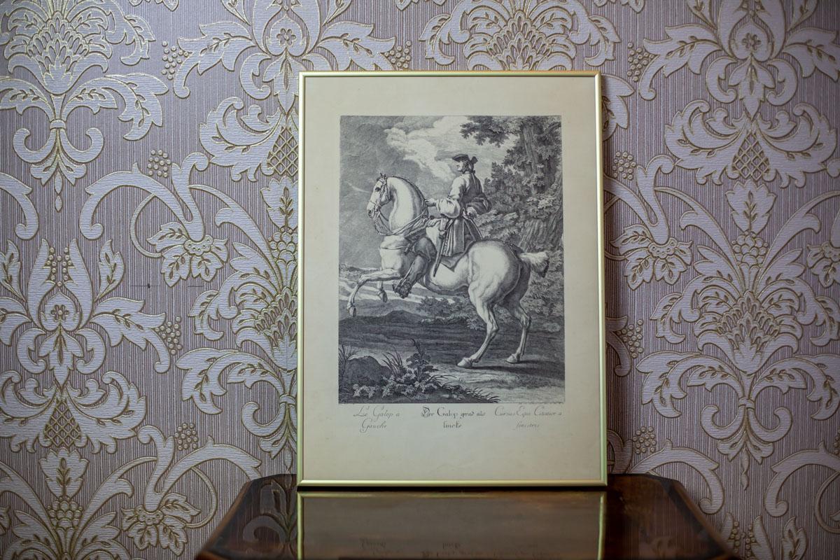 We present you a copperplate engraving depicting a galloping horse with a rider.
This piece of art is signed by Johann Elias Ridinger (1698-1767), a German painter, graphic designer, and drafter.
In 1723, he founded a publishing company and