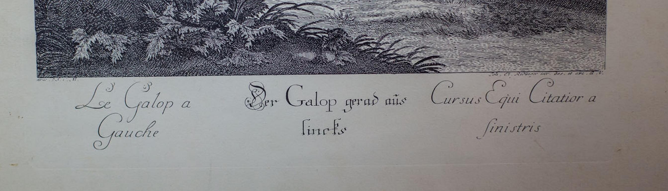 Kupferplattengravur des 19. Jahrhunderts von J.E. Ridinger, Reiter (Graviert) im Angebot