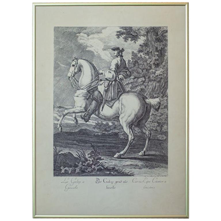 Kupferplattengravur des 19. Jahrhunderts von J.E. Ridinger, Reiter im Angebot