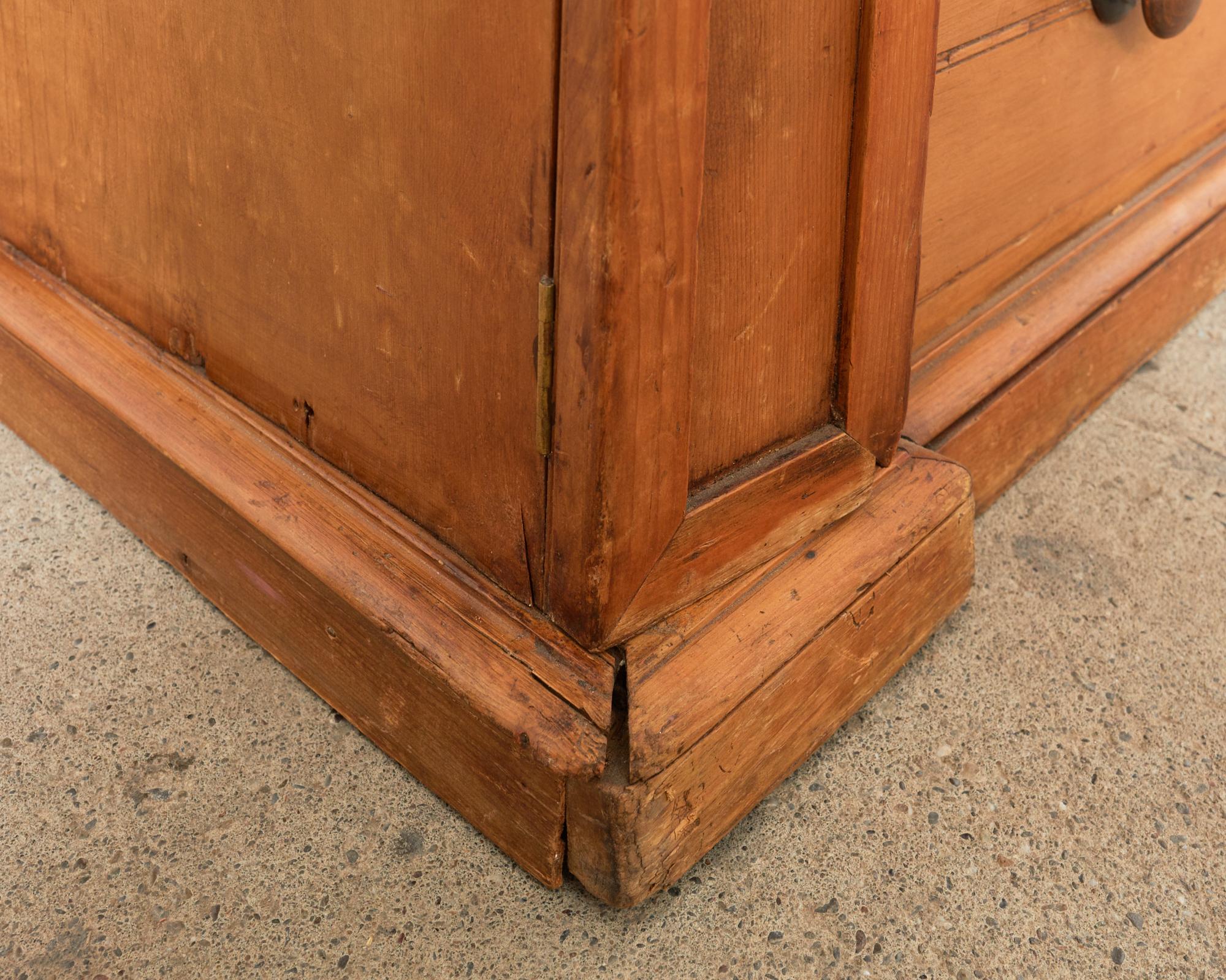 19th Century Country English Fruitwood Library Bookcase Cabinet For Sale 10