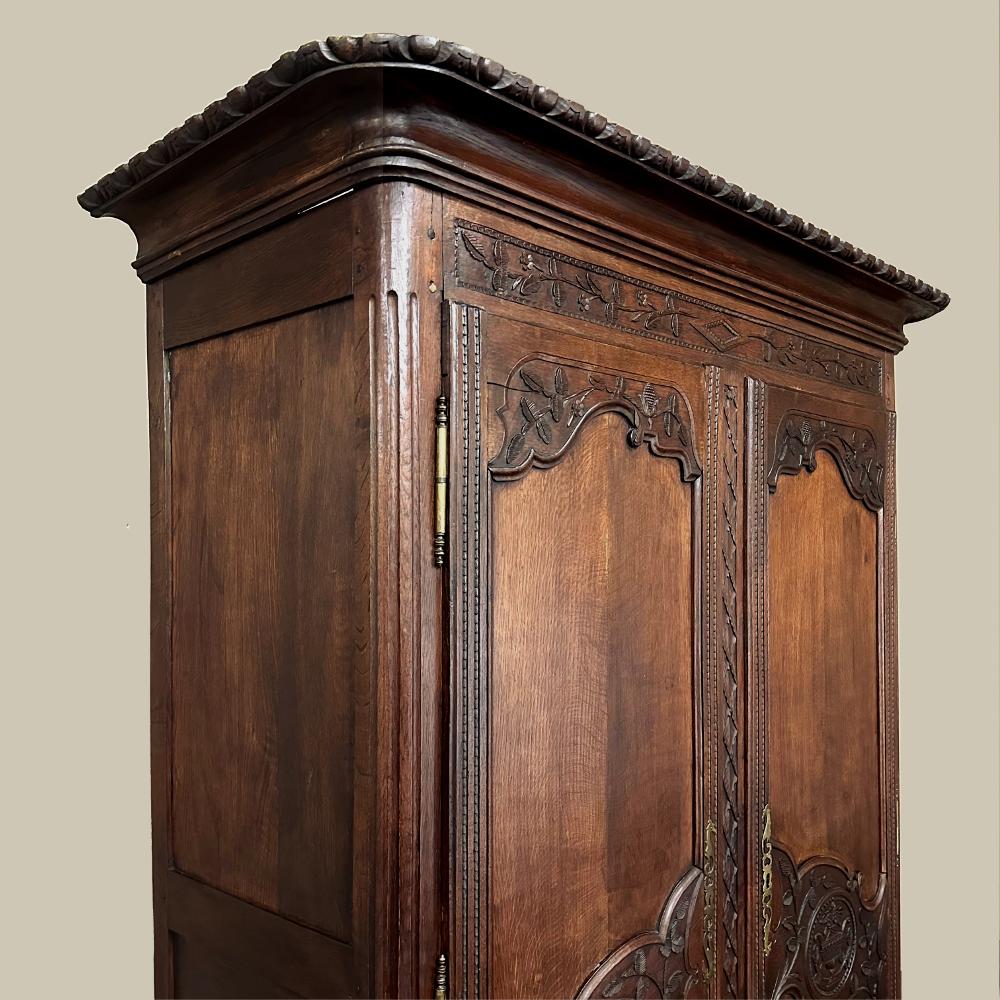 19th Century Country French Armoire ~ Wardrobe In Good Condition For Sale In Dallas, TX