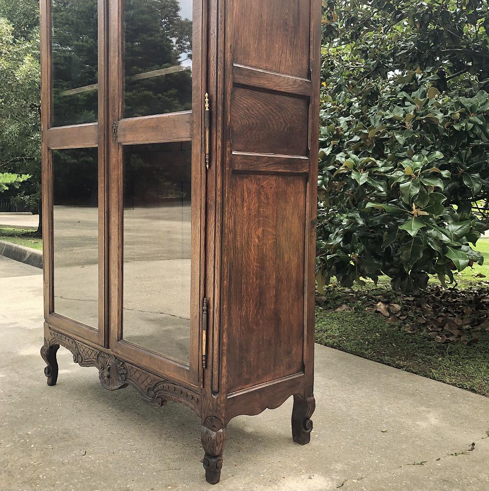 19th Century Country French Bookcase For Sale 4