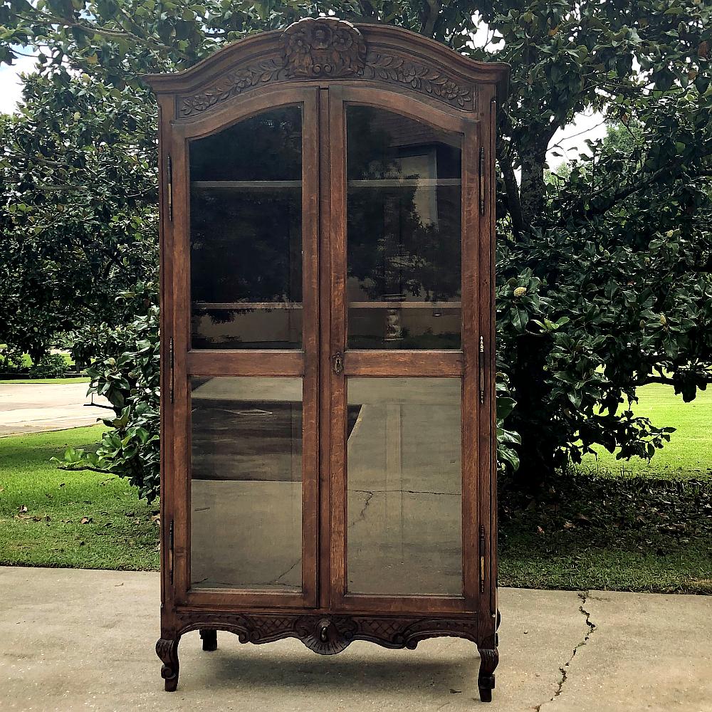 Brass 19th Century Country French Bookcase For Sale