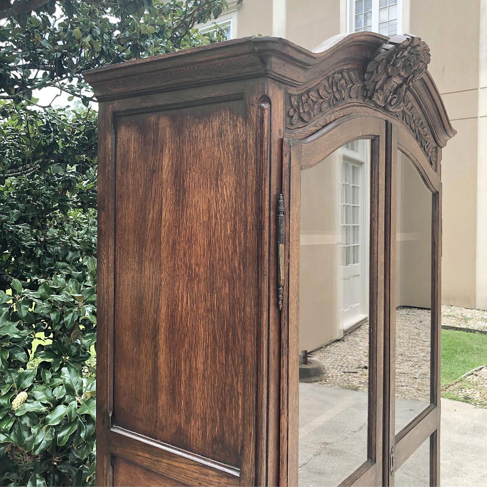 19th Century Country French Bookcase For Sale 2