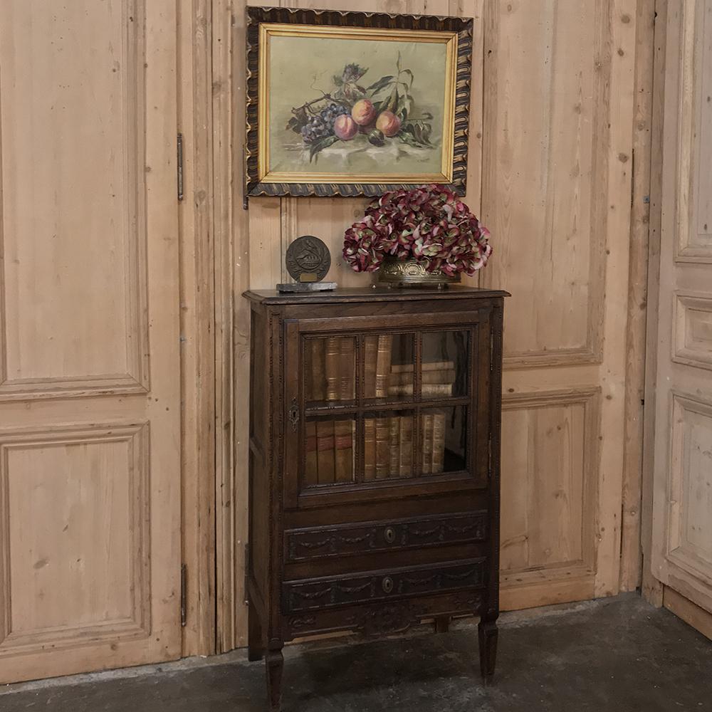 French Provincial 19th Century Country French Louis XVI Hand Carved Oak Vitrine, Chiffonier