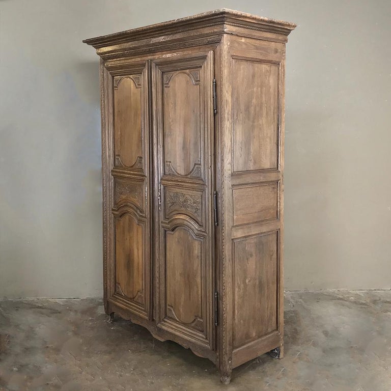 19th Century Country French Provincial Armoire For Sale at 1stdibs