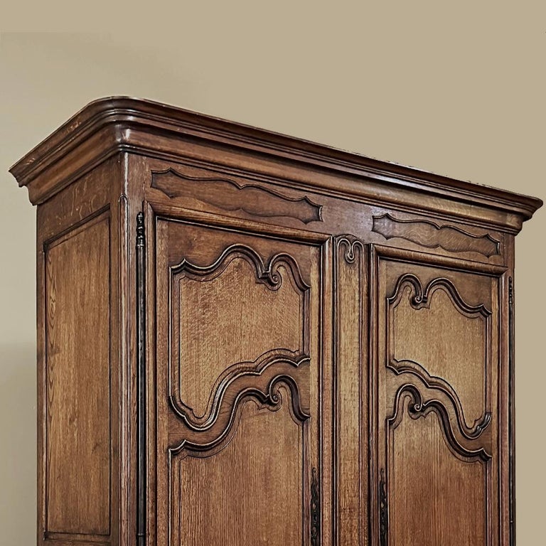 19th Century Country French Provincial Armoire Wardrobe For Sale at